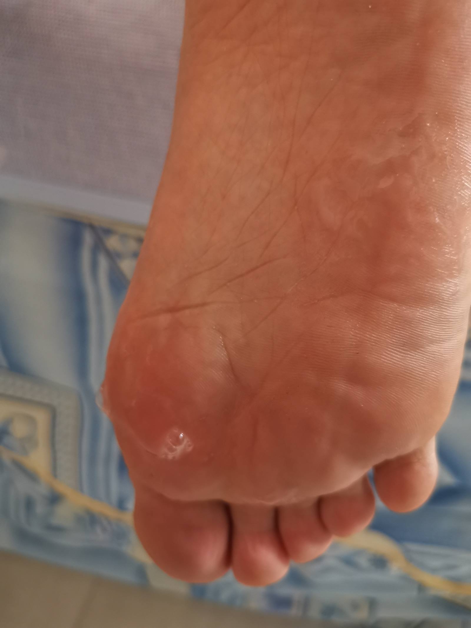 图片[23]-鱼鱼足影@012-第12期：长隆[54P] – 速更版-美库