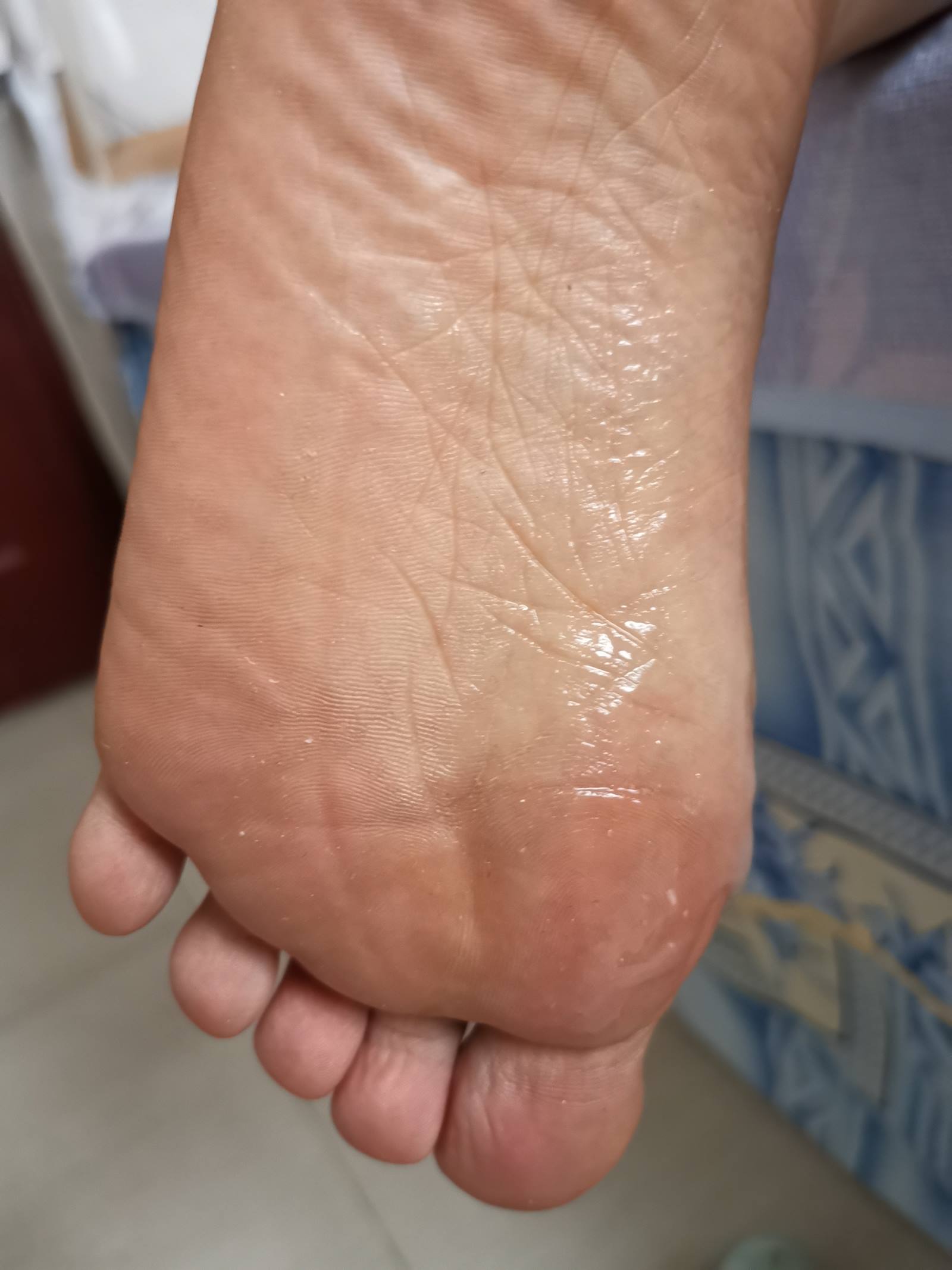 图片[24]-鱼鱼足影@012-第12期：长隆[54P] – 速更版-美库