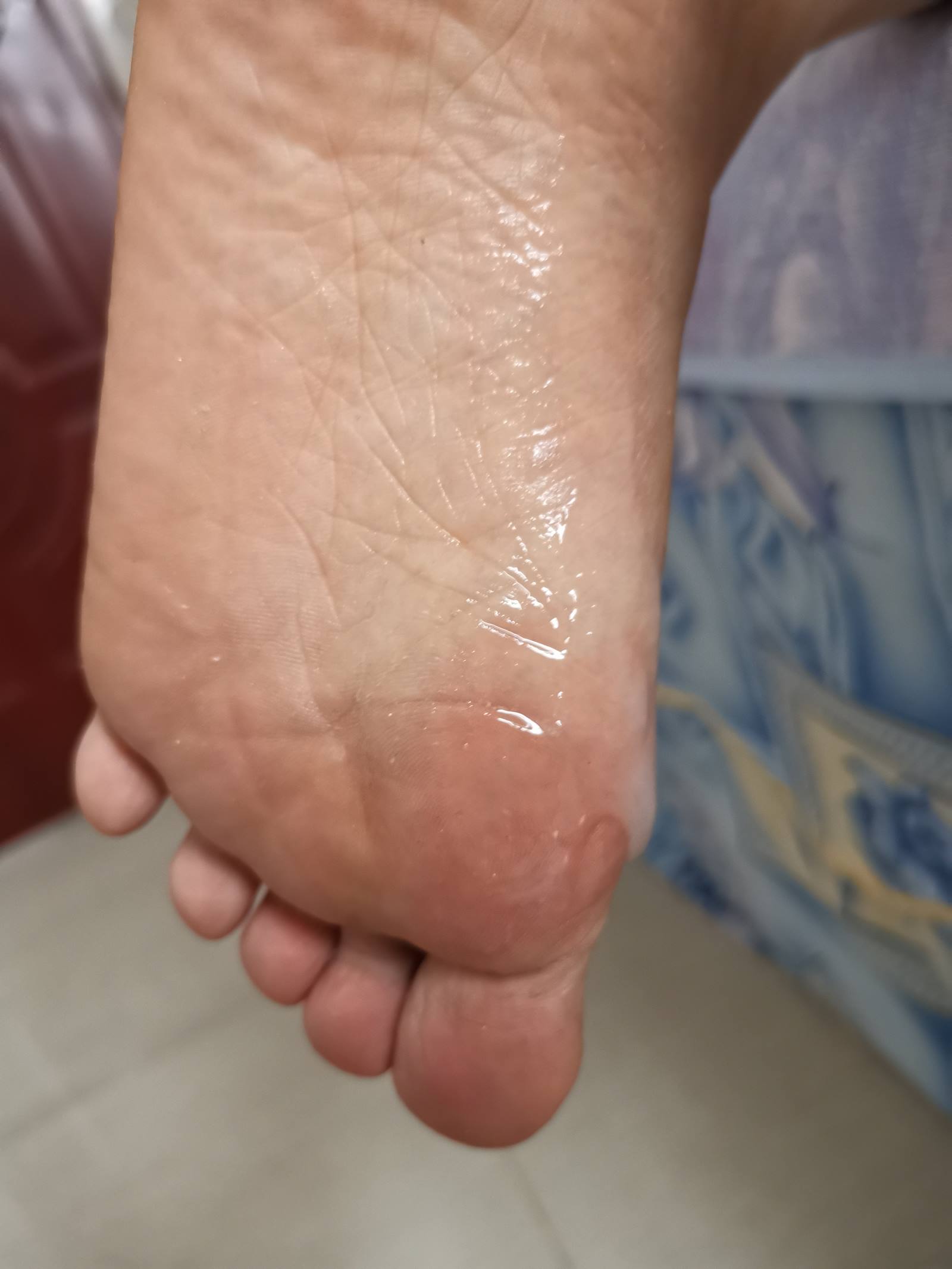 图片[27]-鱼鱼足影@012-第12期：长隆[54P] – 速更版-美库