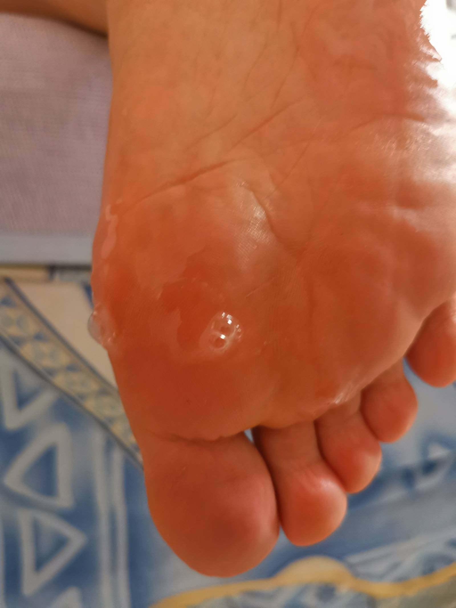 图片[28]-鱼鱼足影@012-第12期：长隆[54P] – 速更版-美库