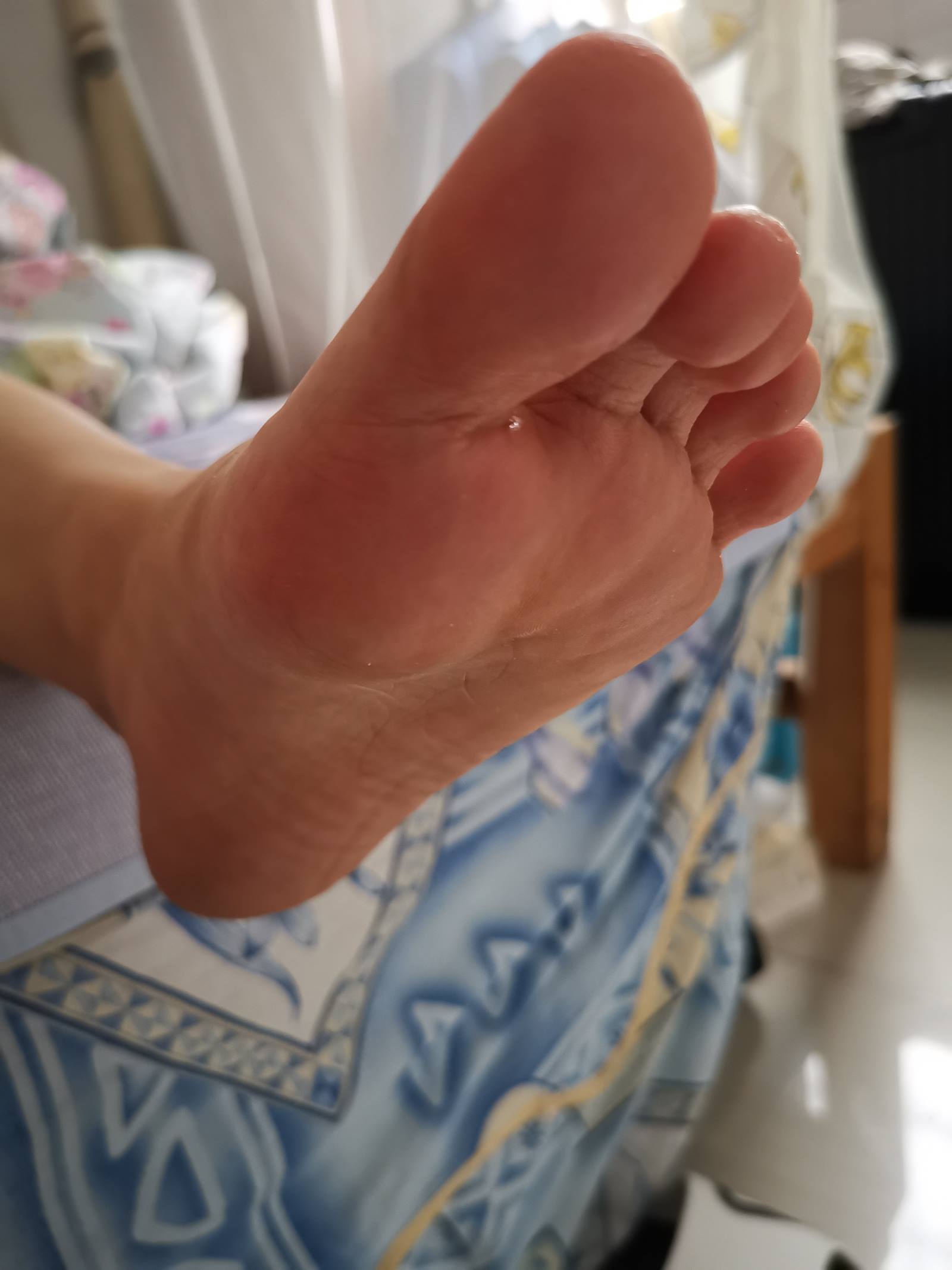 图片[34]-鱼鱼足影@012-第12期：长隆[54P] – 速更版-美库