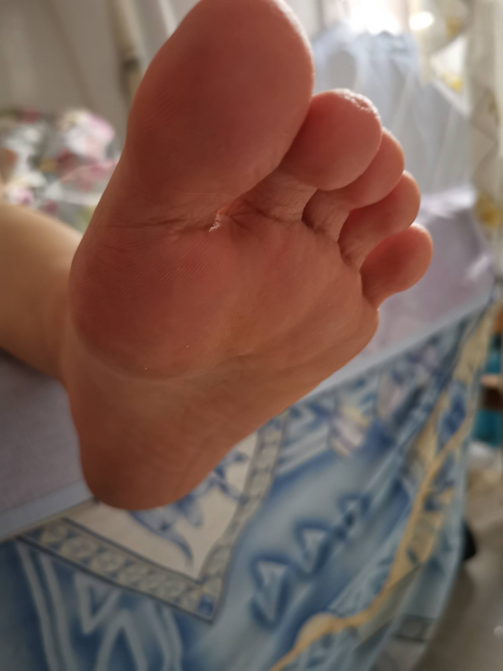 图片[35]-鱼鱼足影@012-第12期：长隆[54P] – 速更版-美库