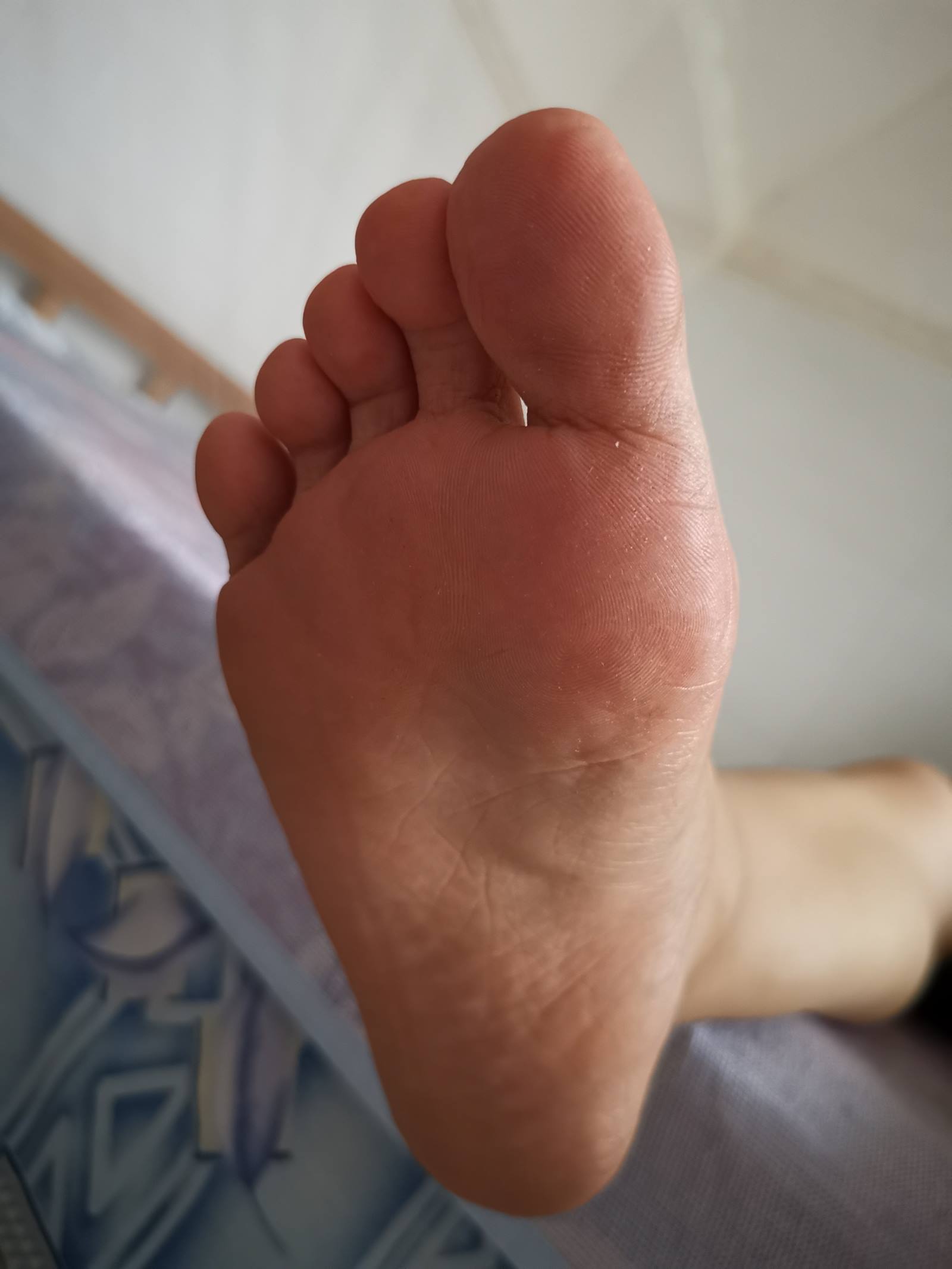 图片[37]-鱼鱼足影@012-第12期：长隆[54P] – 速更版-美库