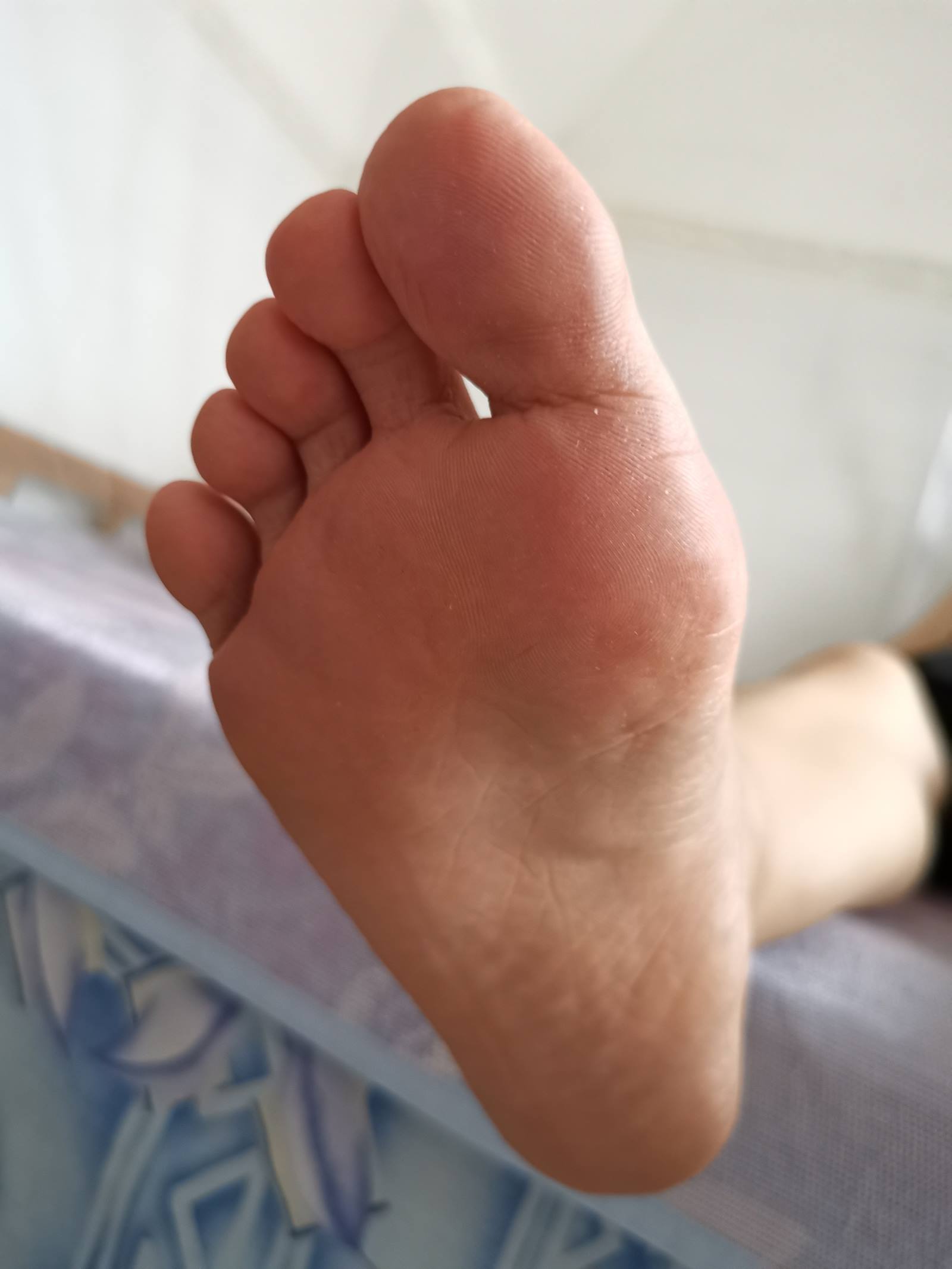 图片[43]-鱼鱼足影@012-第12期：长隆[54P] – 速更版-美库