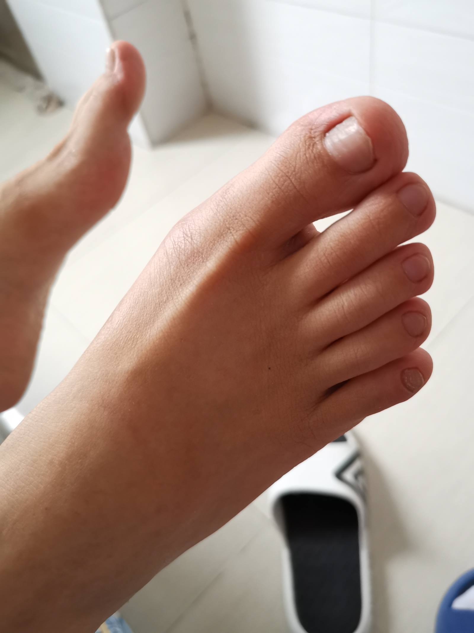 图片[44]-鱼鱼足影@012-第12期：长隆[54P] – 速更版-美库