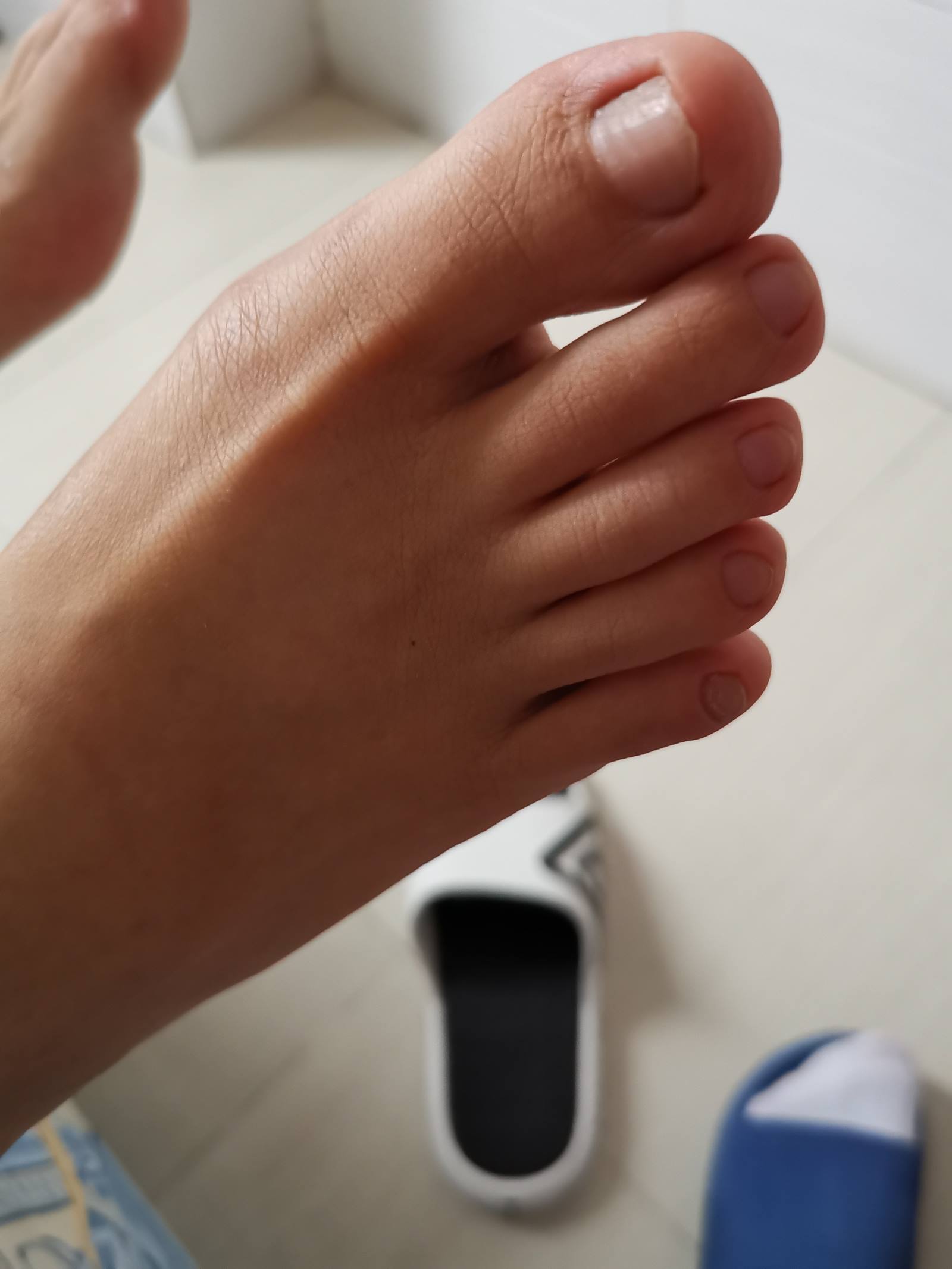 图片[46]-鱼鱼足影@012-第12期：长隆[54P] – 速更版-美库