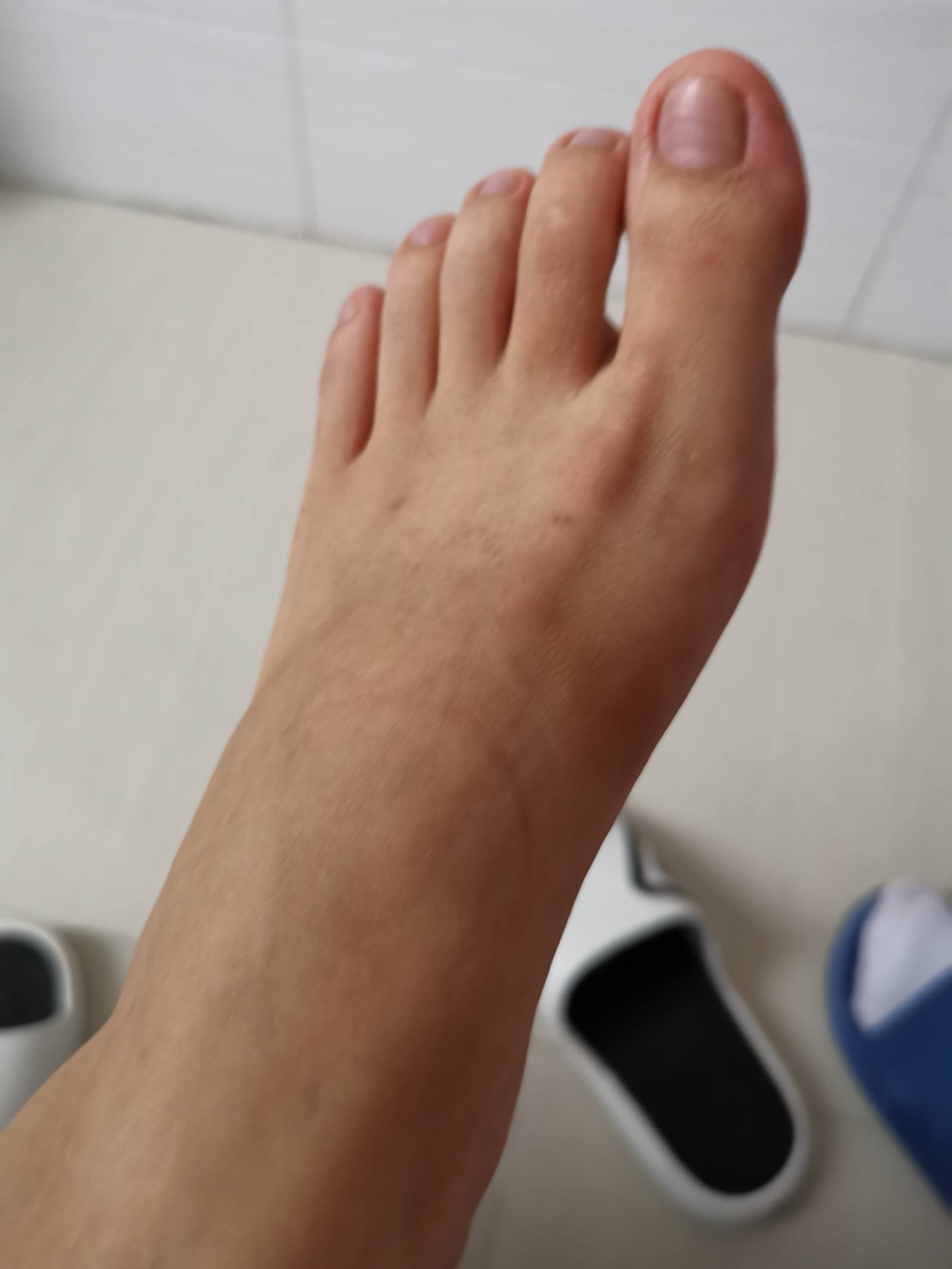 图片[47]-鱼鱼足影@012-第12期：长隆[54P] – 速更版-美库