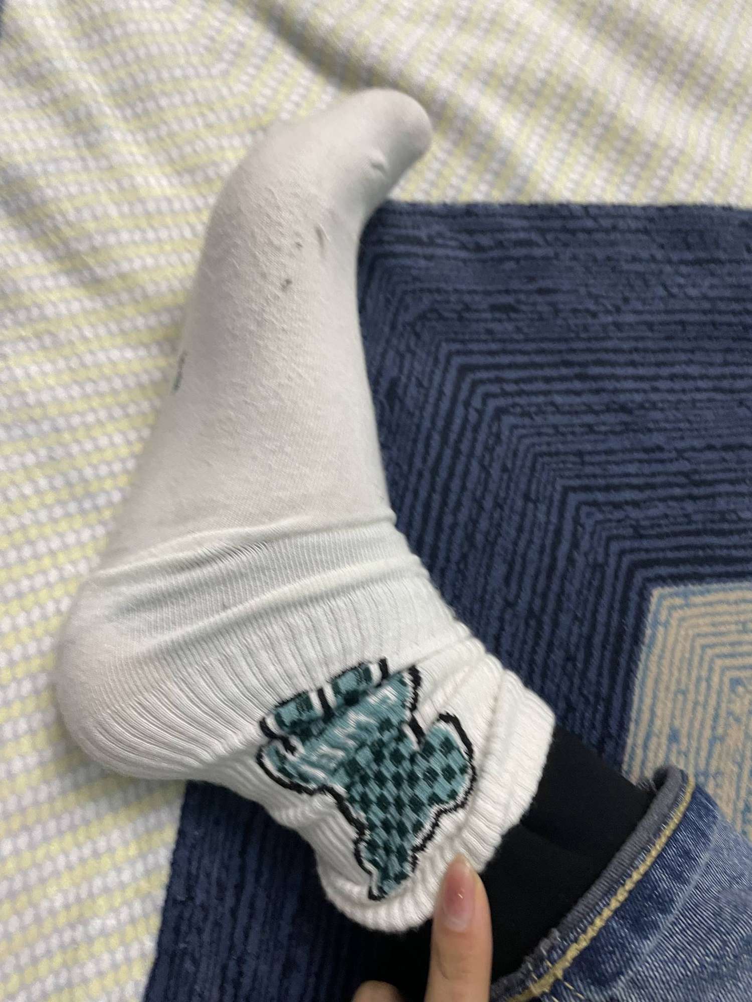 图片[28]-誉铭摄影《2023.1月份整合作品》[150P] – 速更版-美库