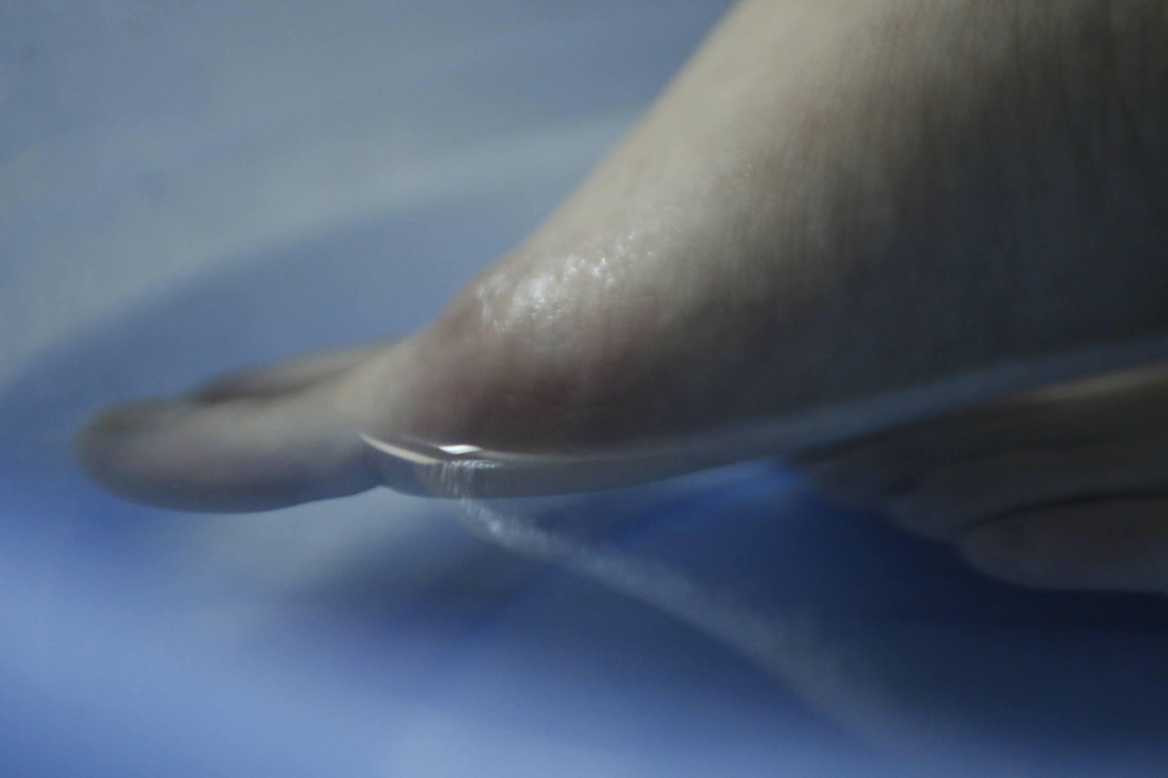 图片[41]-鱼鱼足影@017-第17期：惠思[81P] – 速更版-美库