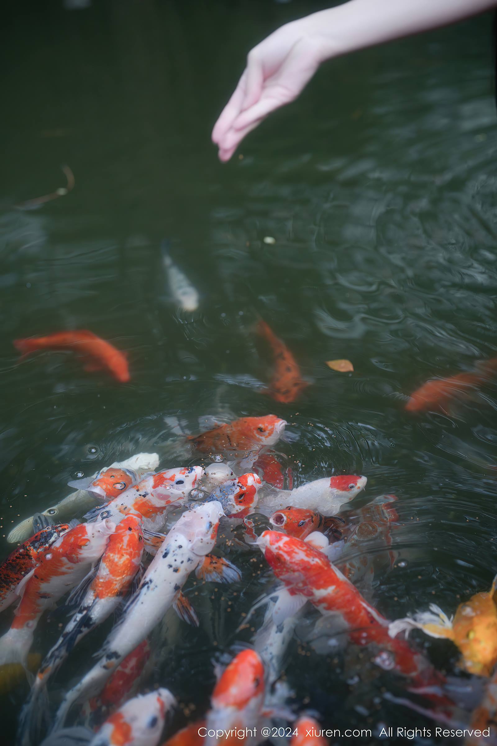 图片[13]-[Xiuren秀人网]2024.01.22 NO.7996 伊雪儿 小心走火 [29+1P] – 速更版-美库