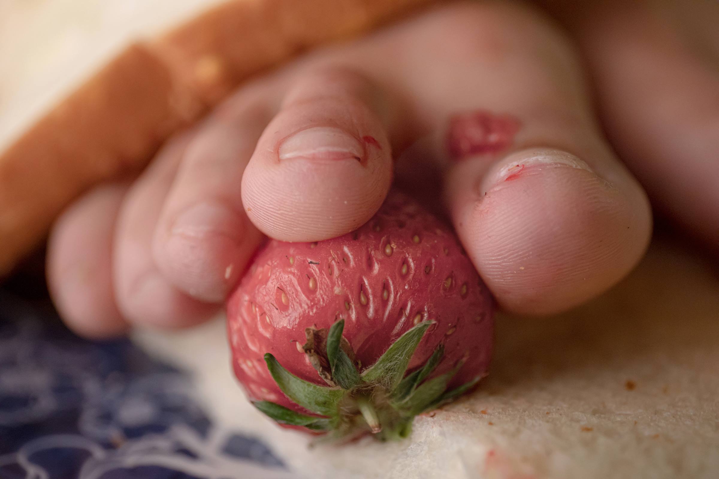 图片[78]-[MZSOCK]爱美足 NO.266 芊芊[197P] – 速更版-美库