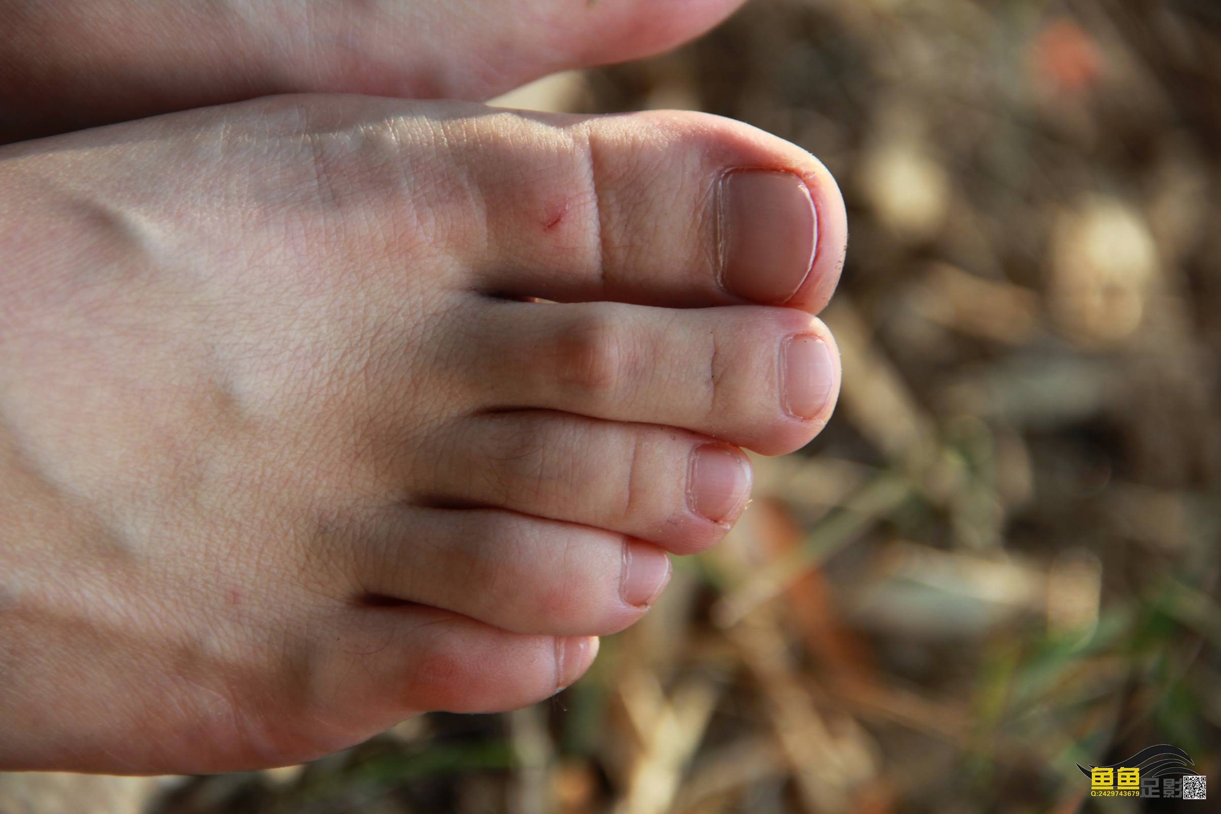 图片[24]-鱼鱼足影@029-第29期：柳婷[31P] – 速更版-美库