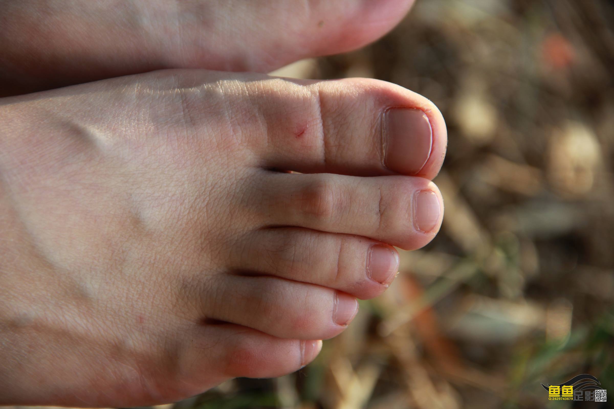 图片[25]-鱼鱼足影@029-第29期：柳婷[31P] – 速更版-美库