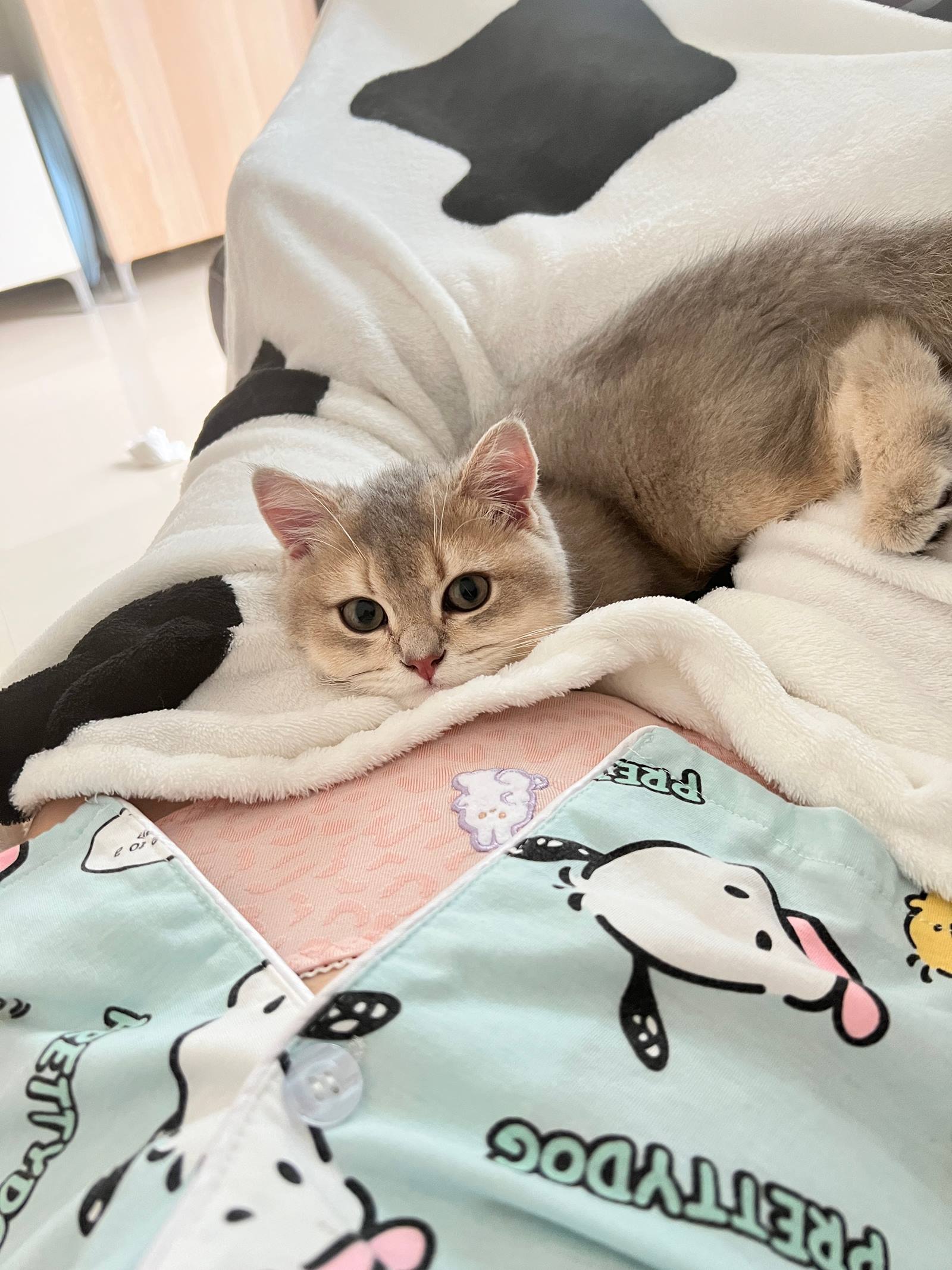 图片[11]-眼酱大魔王w  – 2022年09月fantia会员合集[33P] – 速更版-美库