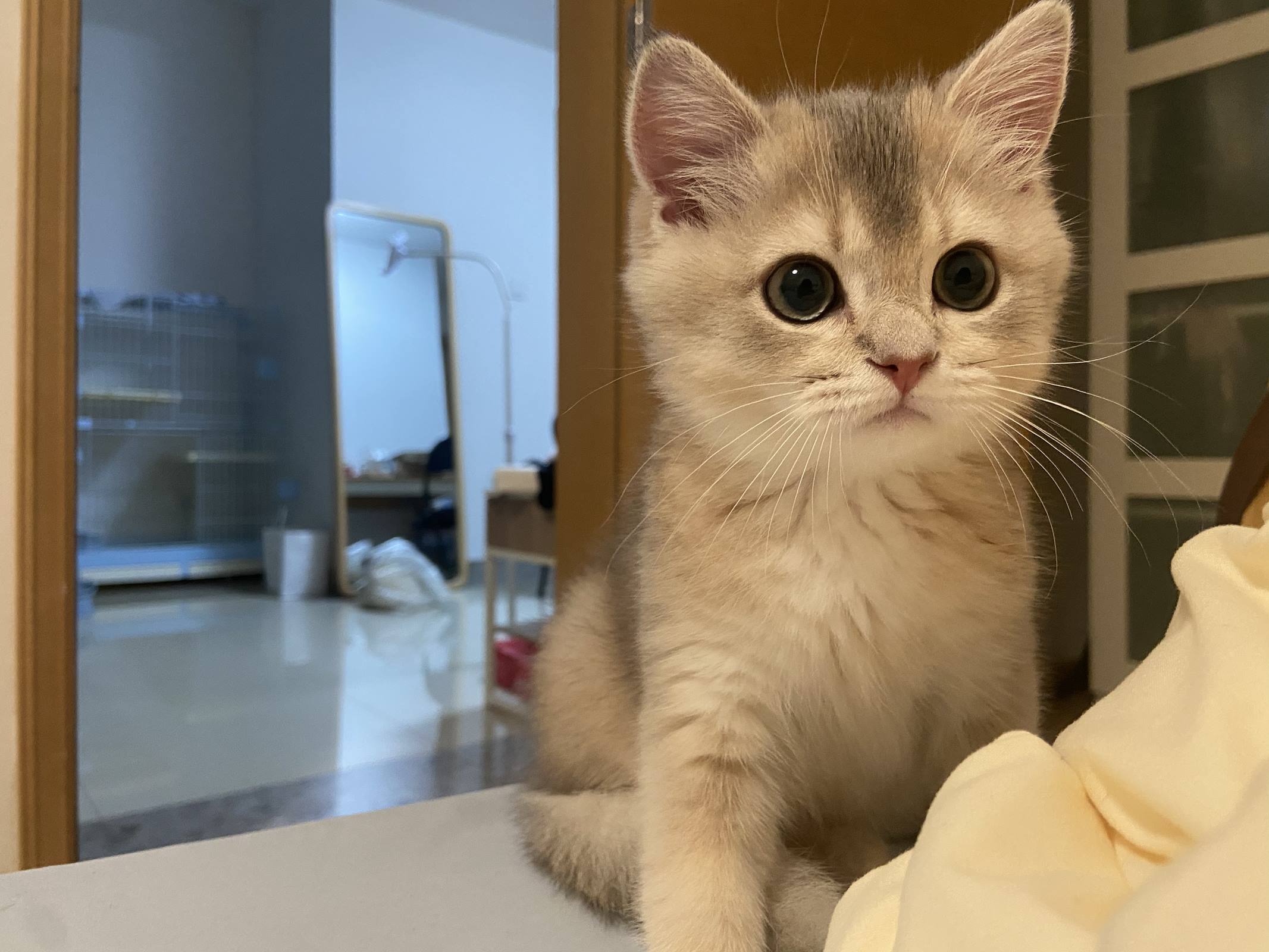 图片[14]-眼酱大魔王w  – 2022年09月fantia会员合集[33P] – 速更版-美库