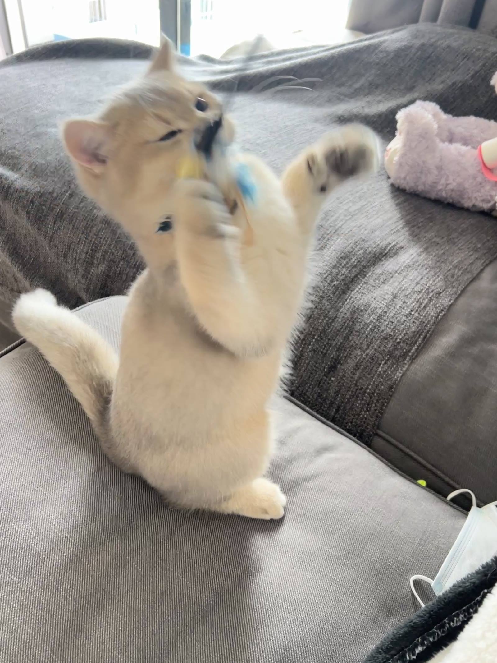 图片[15]-眼酱大魔王w  – 2022年09月fantia会员合集[33P] – 速更版-美库