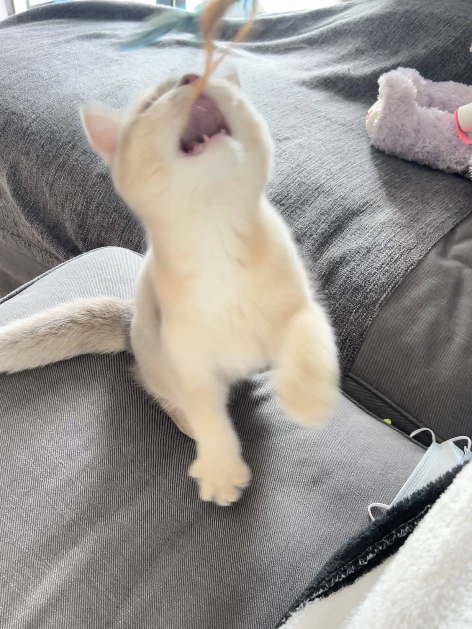 图片[21]-眼酱大魔王w  – 2022年09月fantia会员合集[33P] – 速更版-美库