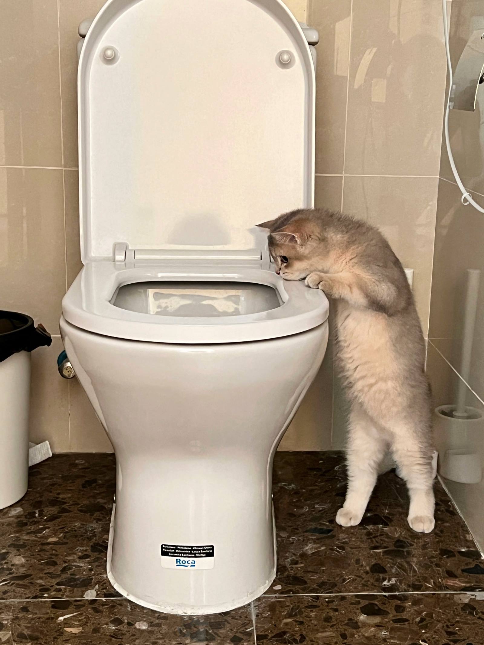 图片[26]-眼酱大魔王w  – 2022年09月fantia会员合集[33P] – 速更版-美库