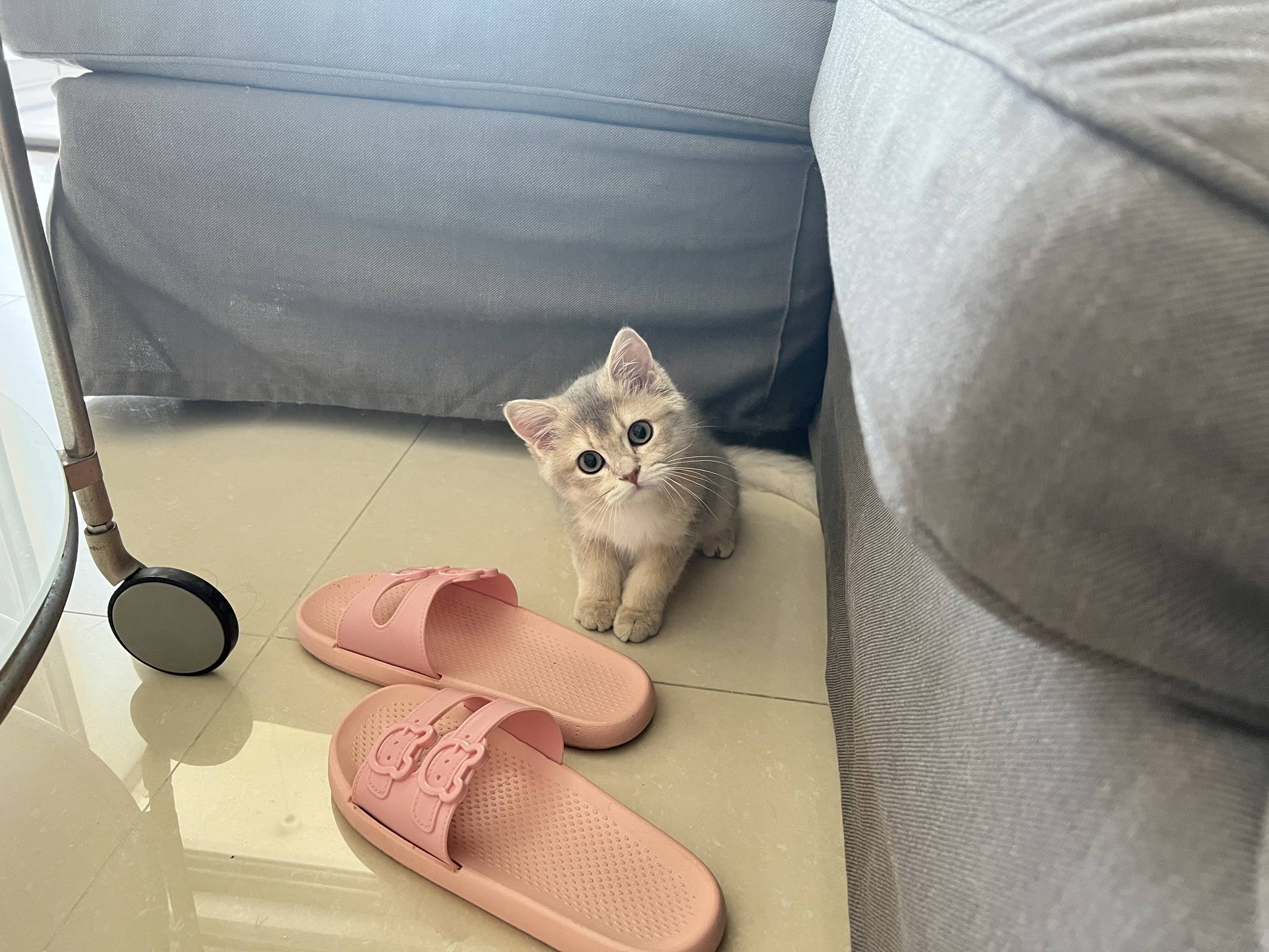 图片[30]-眼酱大魔王w  – 2022年09月fantia会员合集[33P] – 速更版-美库