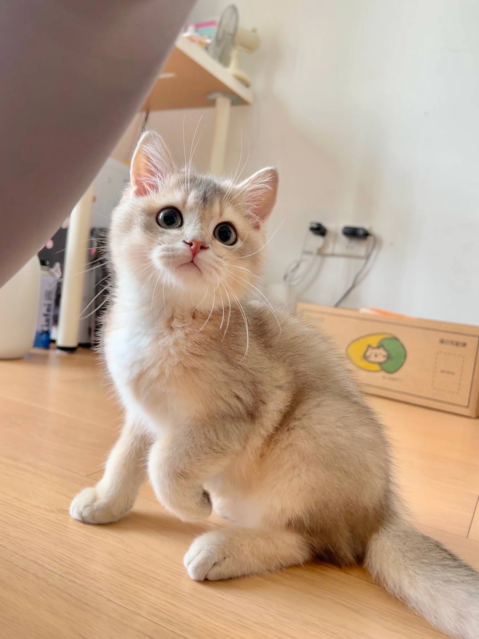 图片[32]-眼酱大魔王w  – 2022年09月fantia会员合集[33P] – 速更版-美库