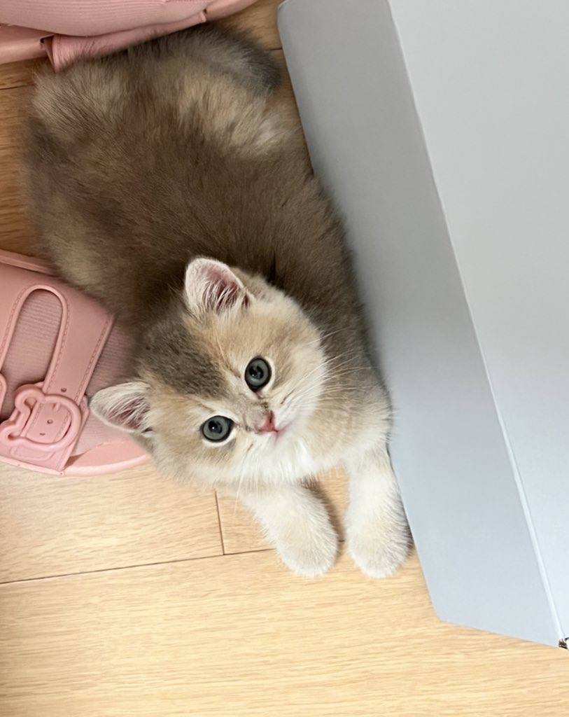 图片[33]-眼酱大魔王w  – 2022年09月fantia会员合集[33P] – 速更版-美库