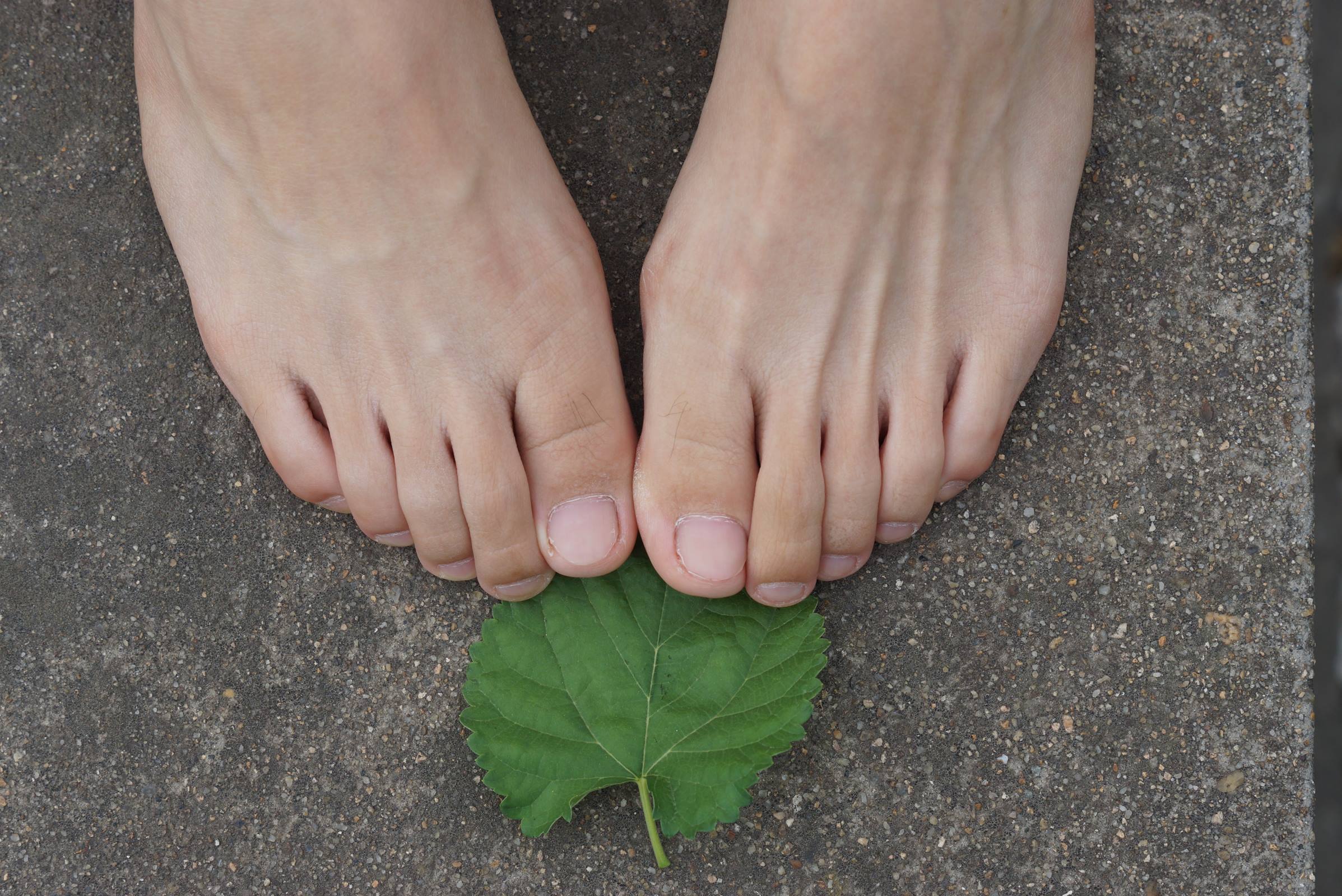 图片[79]-自由摄影 No.010 校园之清秀干净绝顶的每足盛宴 [105P] – 速更版-美库