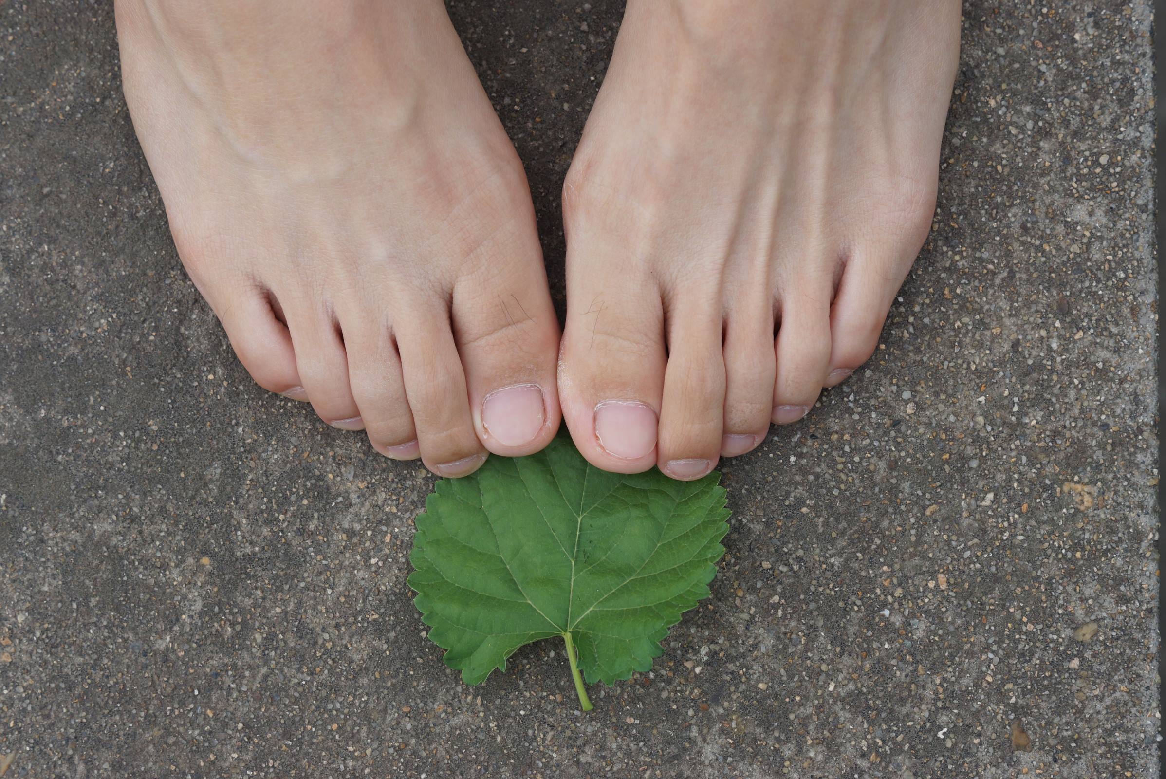 图片[80]-自由摄影 No.010 校园之清秀干净绝顶的每足盛宴 [105P] – 速更版-美库