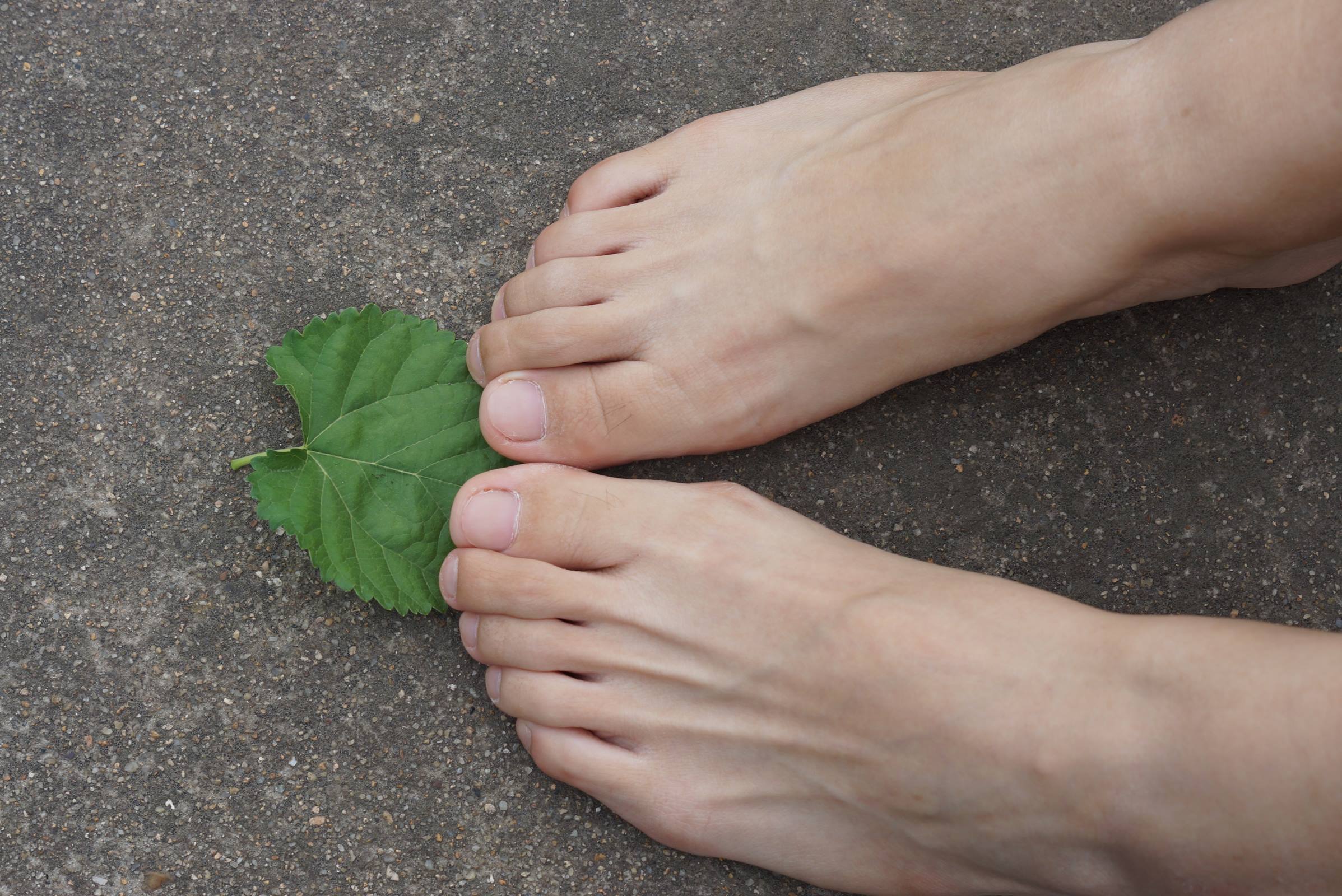 图片[82]-自由摄影 No.010 校园之清秀干净绝顶的每足盛宴 [105P] – 速更版-美库