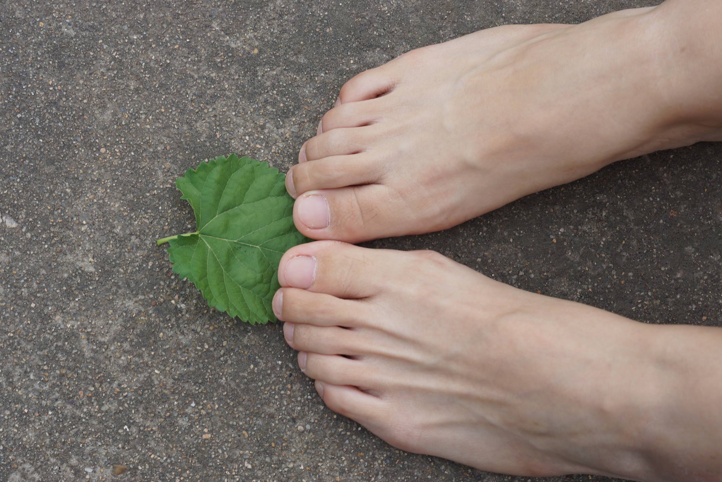 图片[83]-自由摄影 No.010 校园之清秀干净绝顶的每足盛宴 [105P] – 速更版-美库