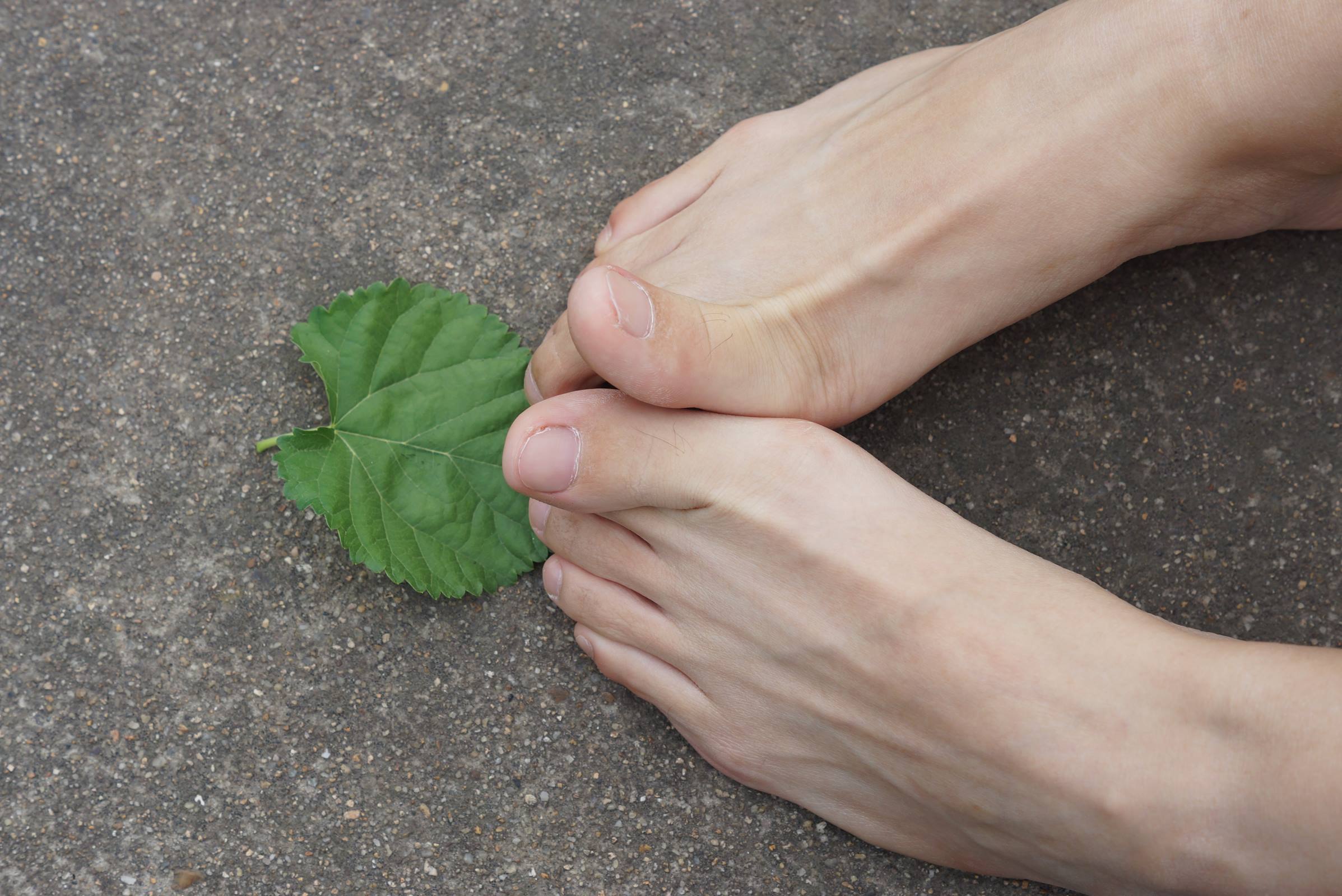 图片[84]-自由摄影 No.010 校园之清秀干净绝顶的每足盛宴 [105P] – 速更版-美库