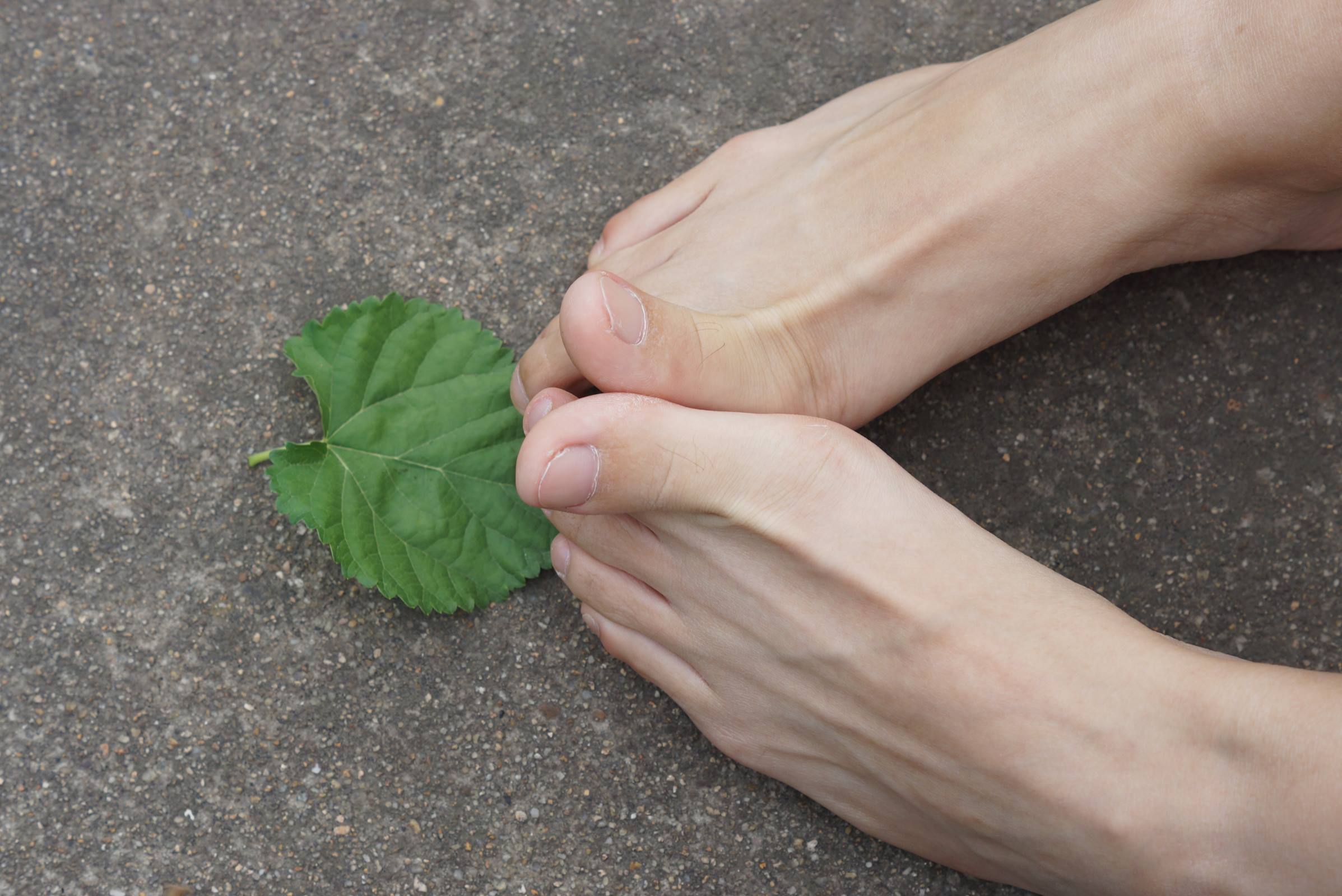 图片[85]-自由摄影 No.010 校园之清秀干净绝顶的每足盛宴 [105P] – 速更版-美库