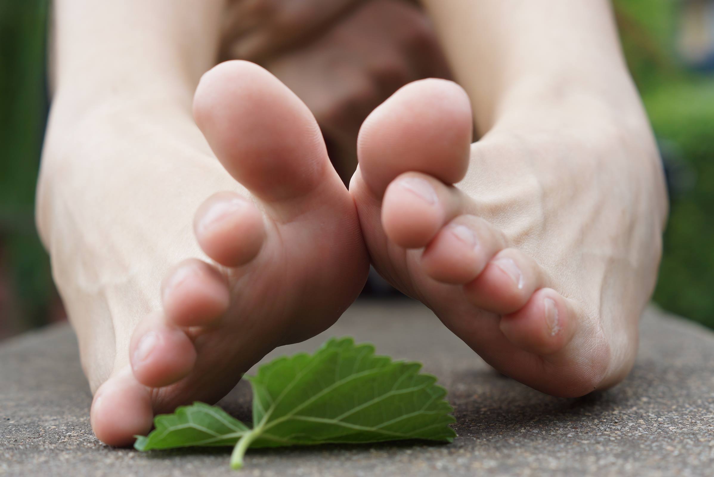 图片[94]-自由摄影 No.010 校园之清秀干净绝顶的每足盛宴 [105P] – 速更版-美库