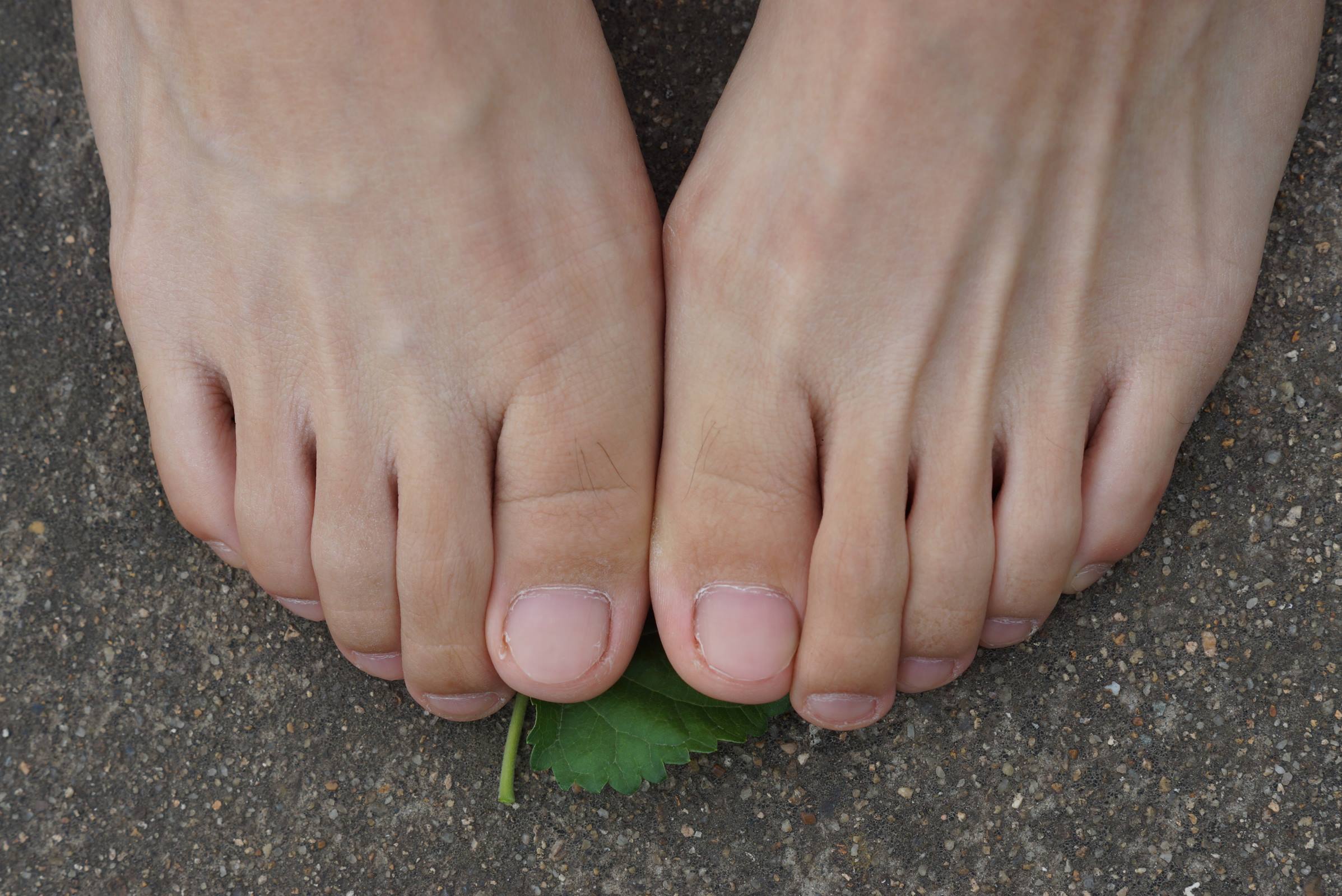 图片[97]-自由摄影 No.010 校园之清秀干净绝顶的每足盛宴 [105P] – 速更版-美库