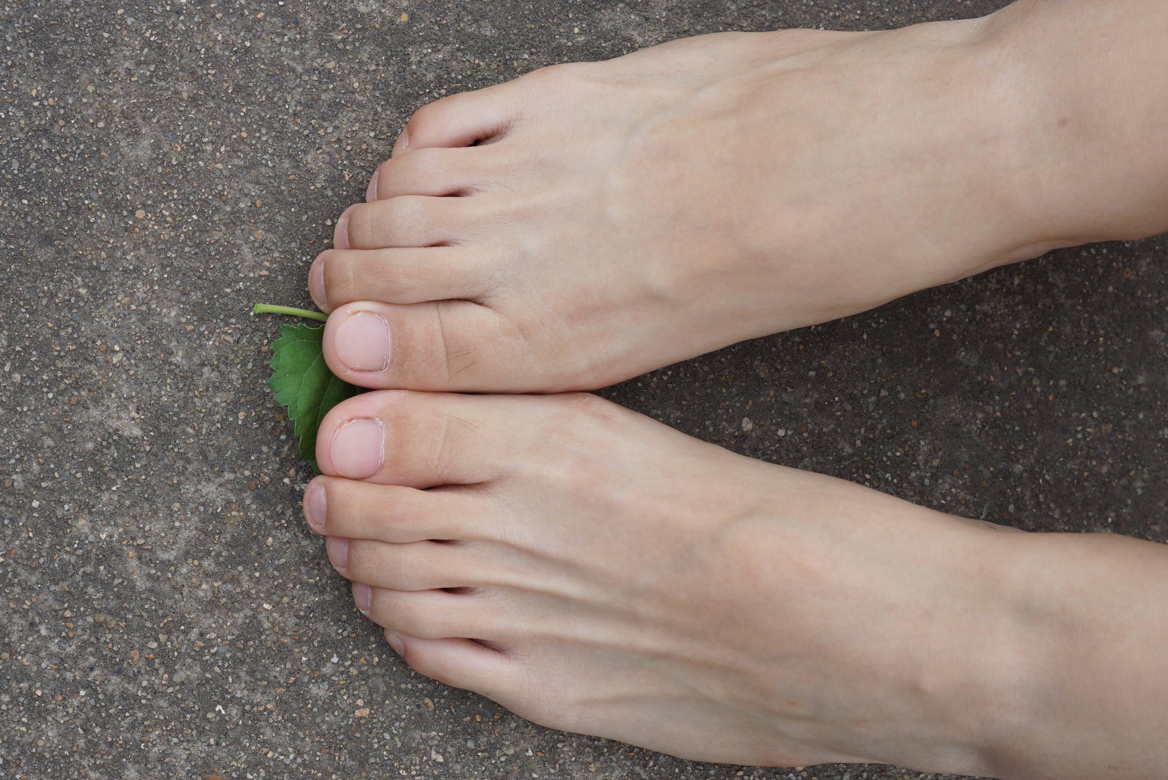 图片[98]-自由摄影 No.010 校园之清秀干净绝顶的每足盛宴 [105P] – 速更版-美库