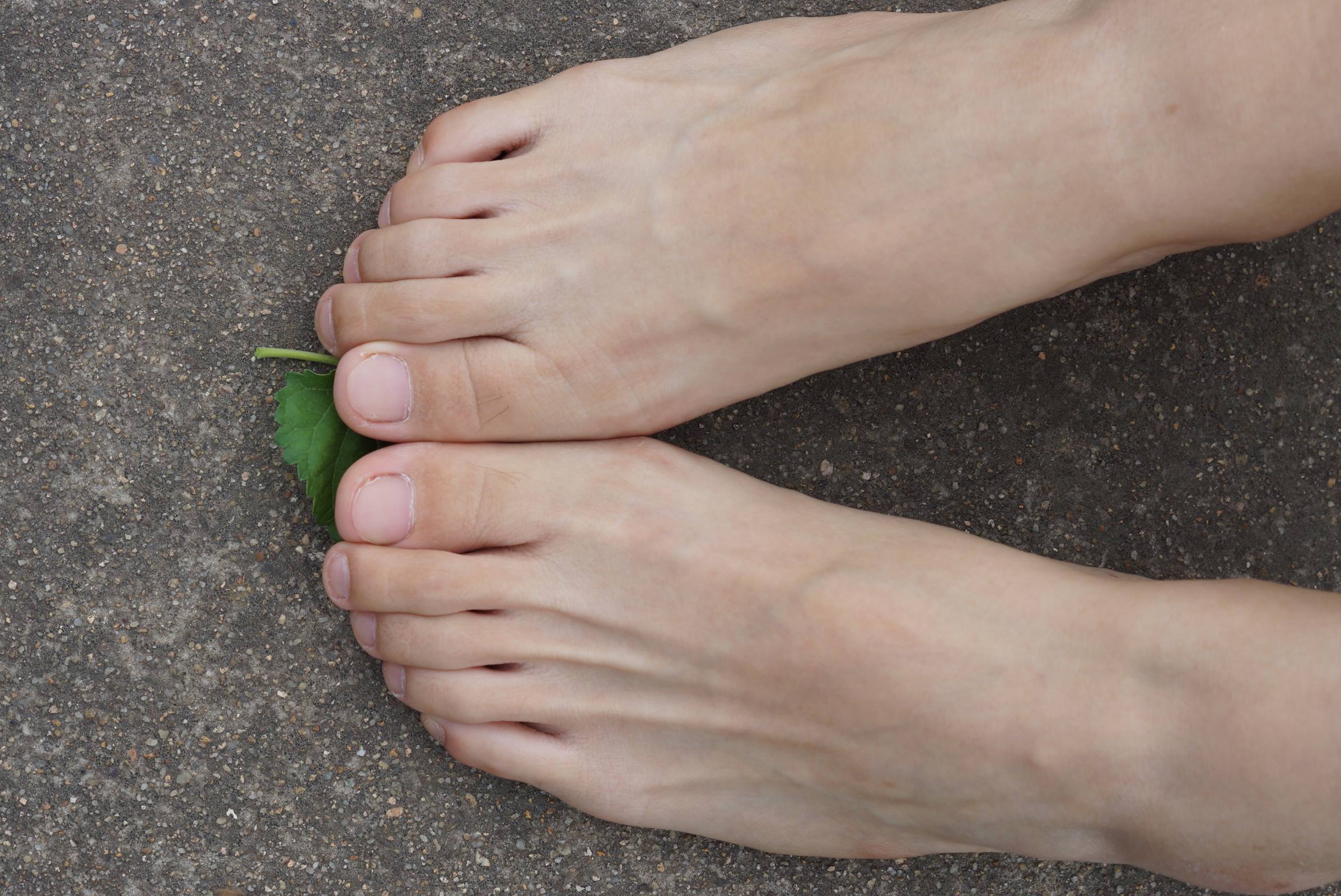 图片[99]-自由摄影 No.010 校园之清秀干净绝顶的每足盛宴 [105P] – 速更版-美库