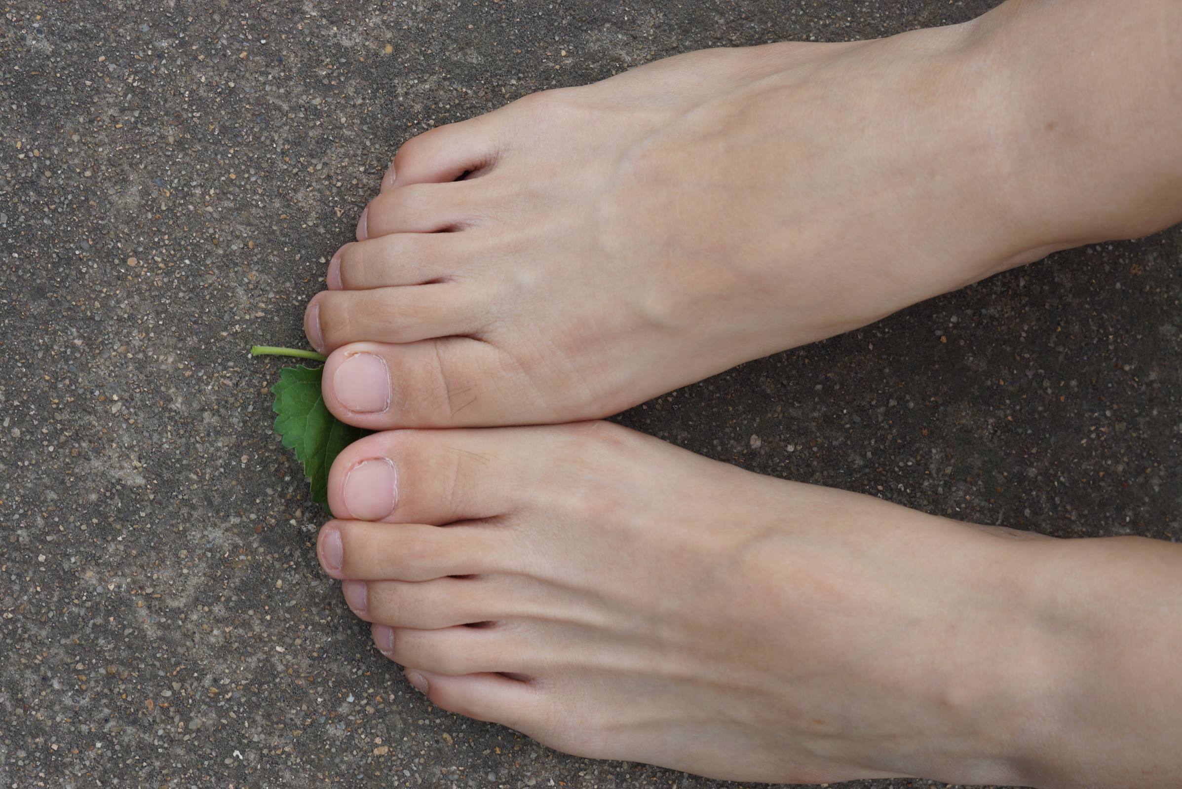 图片[100]-自由摄影 No.010 校园之清秀干净绝顶的每足盛宴 [105P] – 速更版-美库