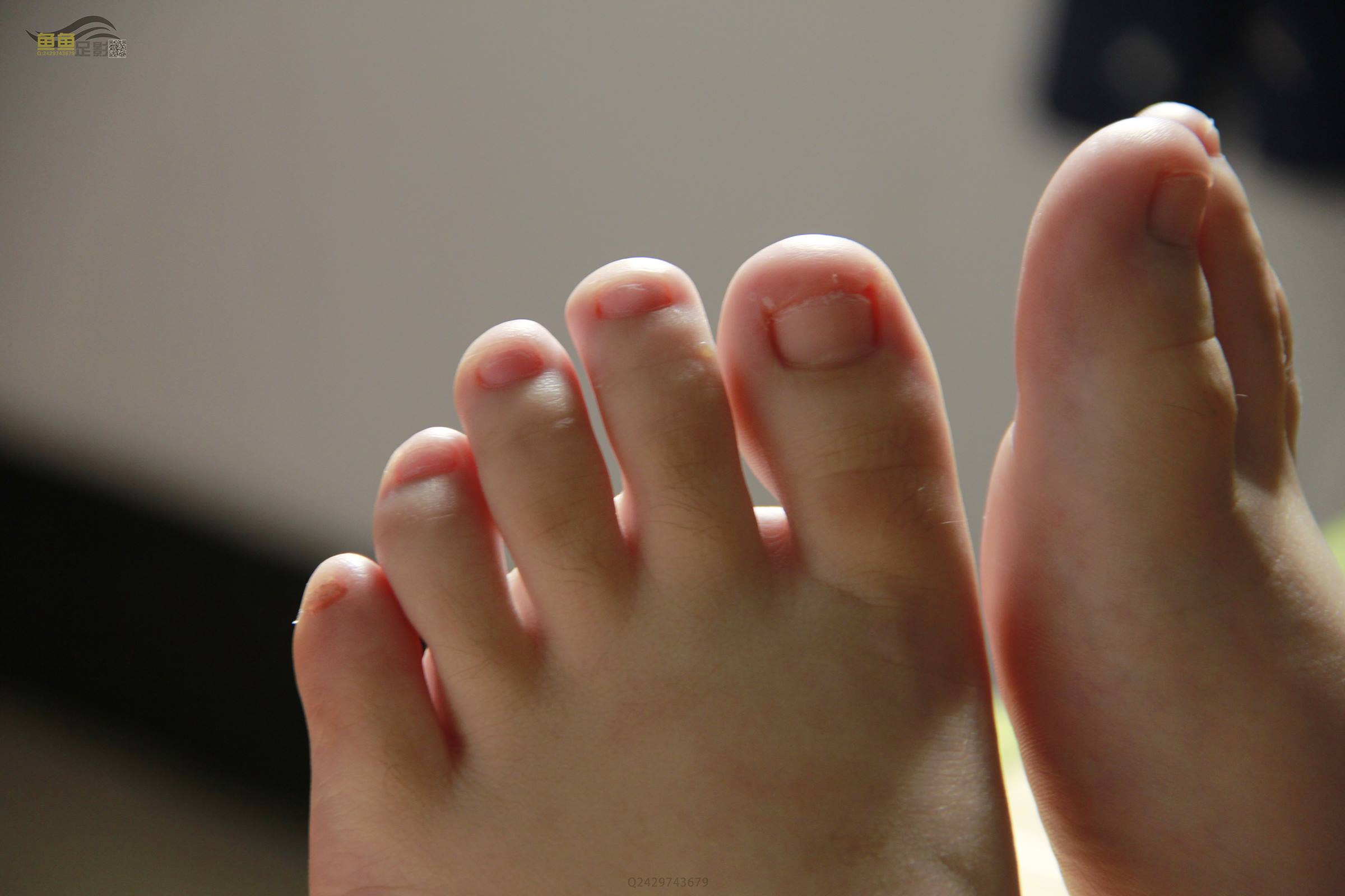 图片[54]-鱼鱼足影@031-第31期：梅梅[86P] – 速更版-美库