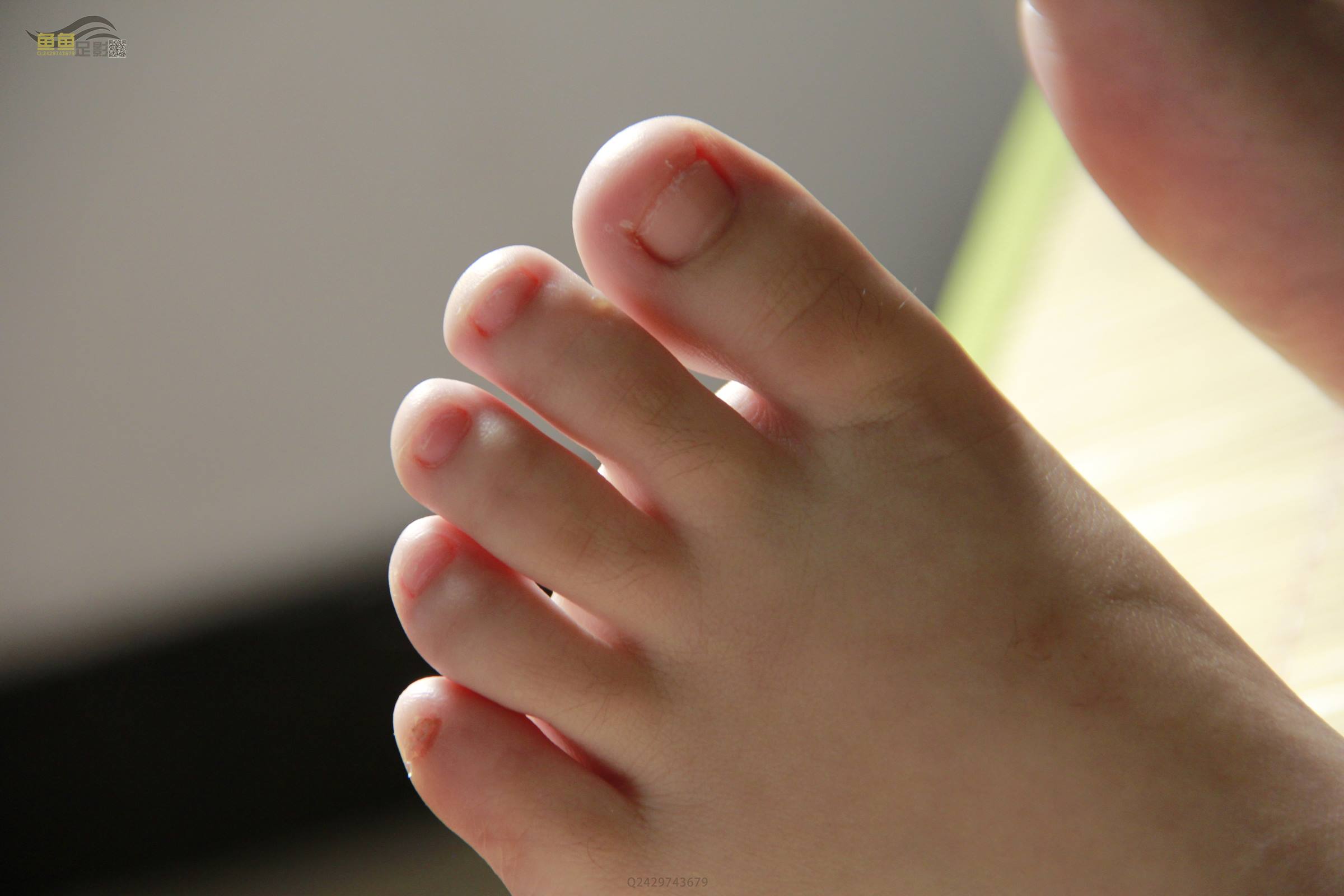 图片[55]-鱼鱼足影@031-第31期：梅梅[86P] – 速更版-美库