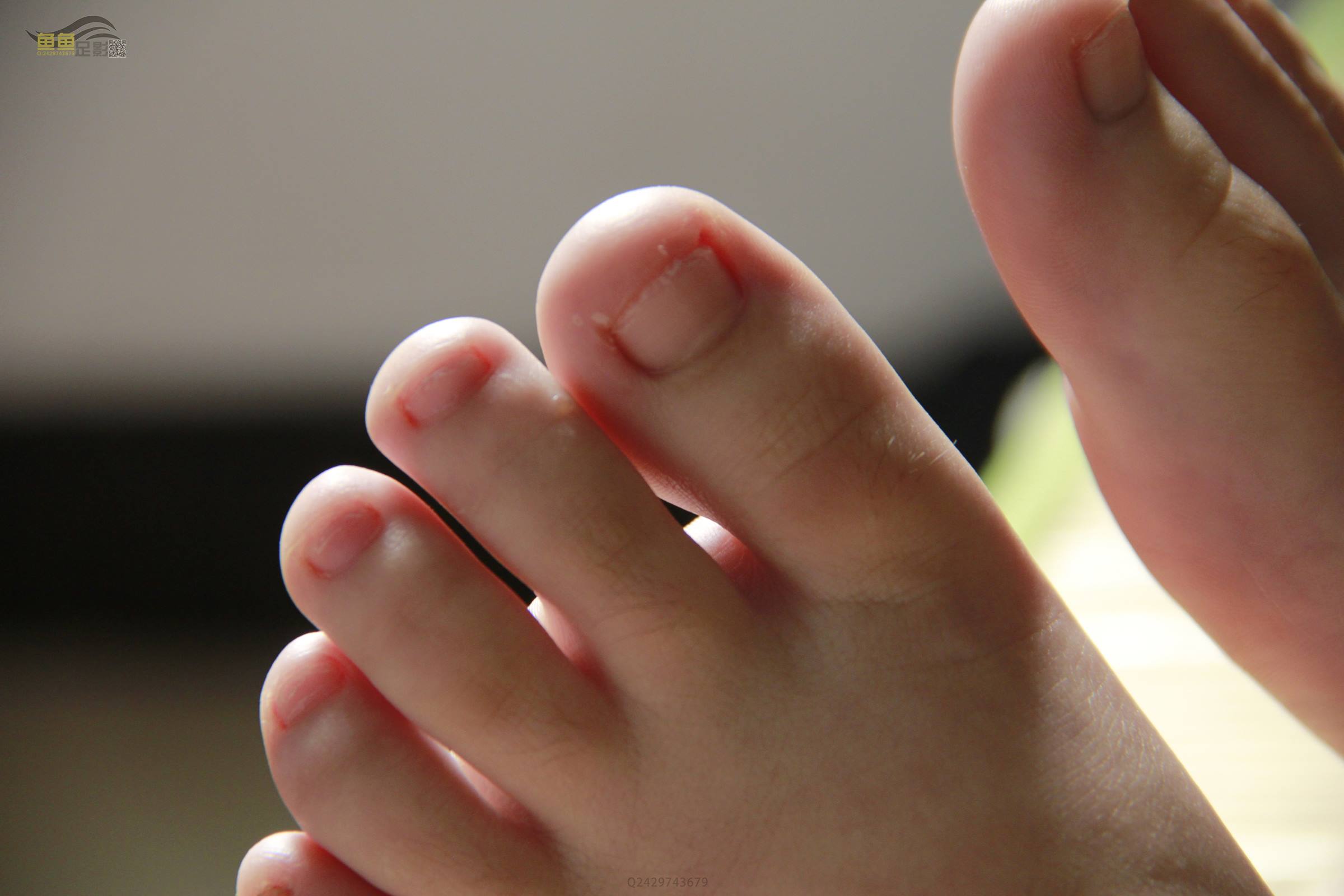 图片[62]-鱼鱼足影@031-第31期：梅梅[86P] – 速更版-美库