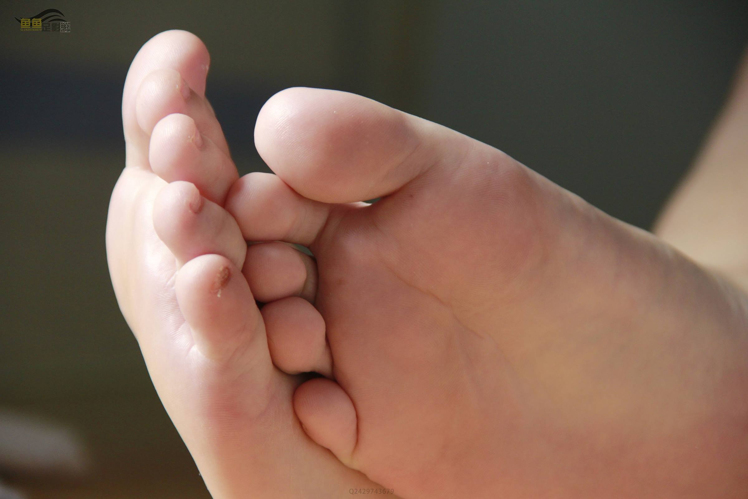 图片[64]-鱼鱼足影@031-第31期：梅梅[86P] – 速更版-美库