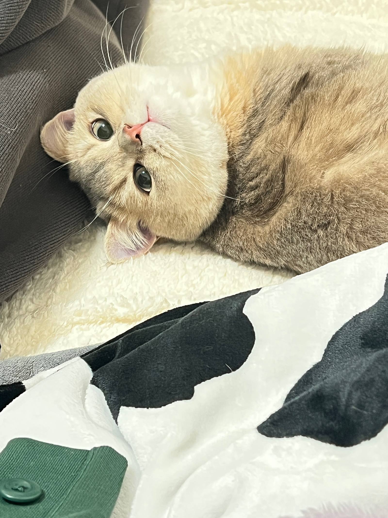 图片[15]-眼酱大魔王w – 2022年11月fantia会员合集[29P] – 速更版-美库