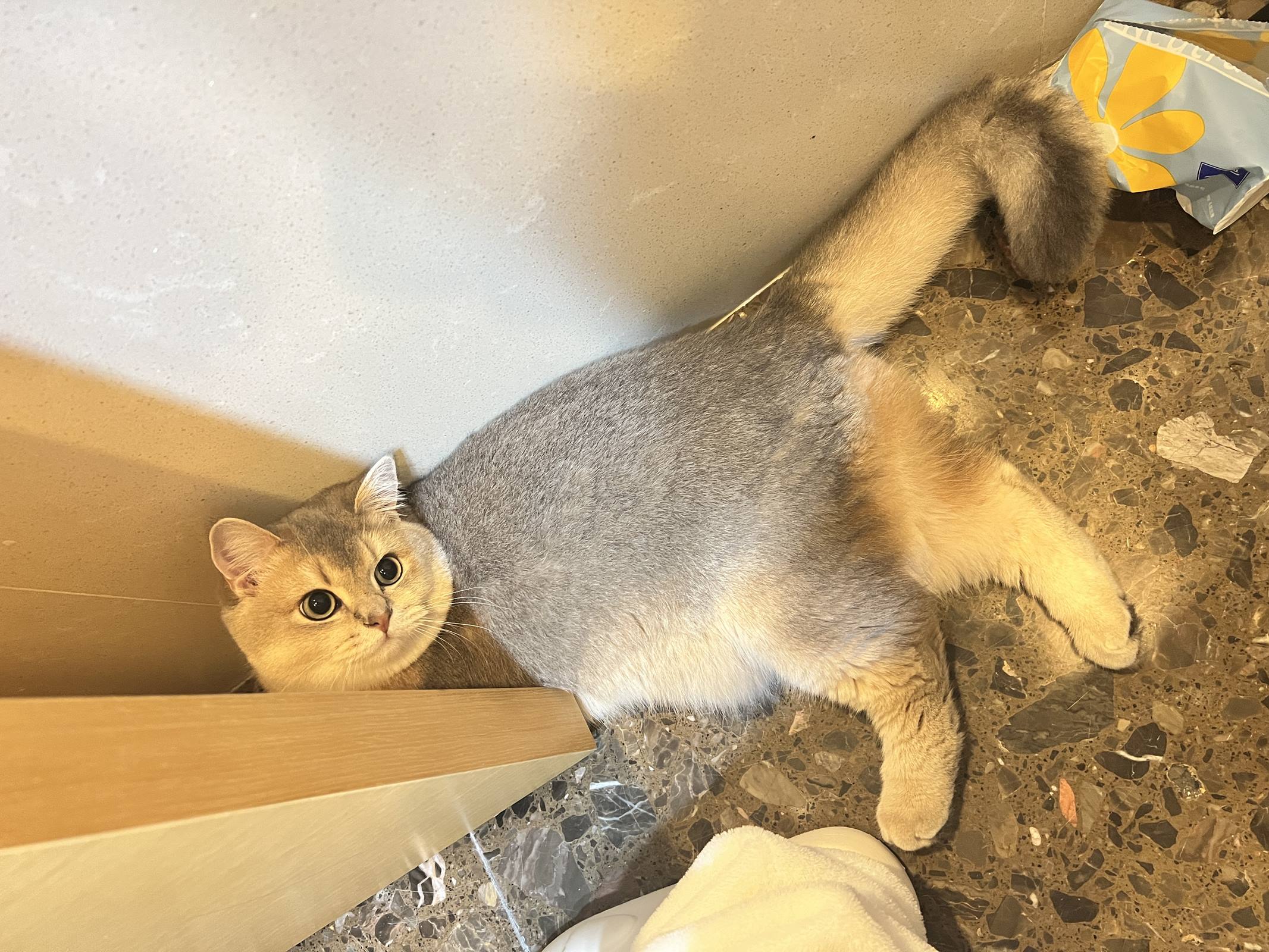 图片[26]-眼酱大魔王w – 2022年11月fantia会员合集[29P] – 速更版-美库