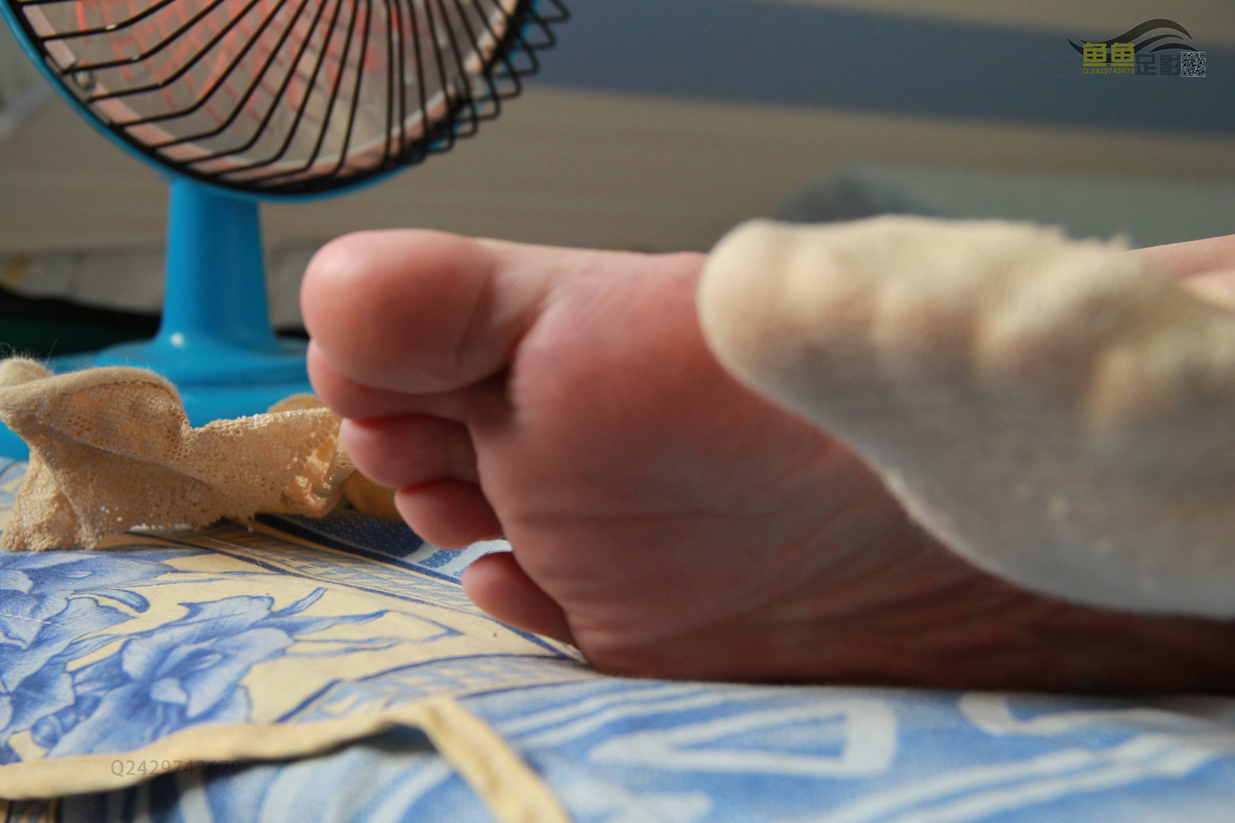 图片[14]-鱼鱼足影@046-第46期：莉莉[15P] – 速更版-美库