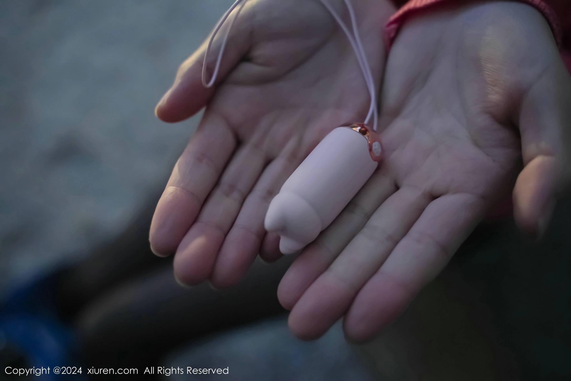 图片[39]-[Xiuren秀人网]2024.02.08 NO.8091 龙雪儿[55+1P] – 速更版-美库