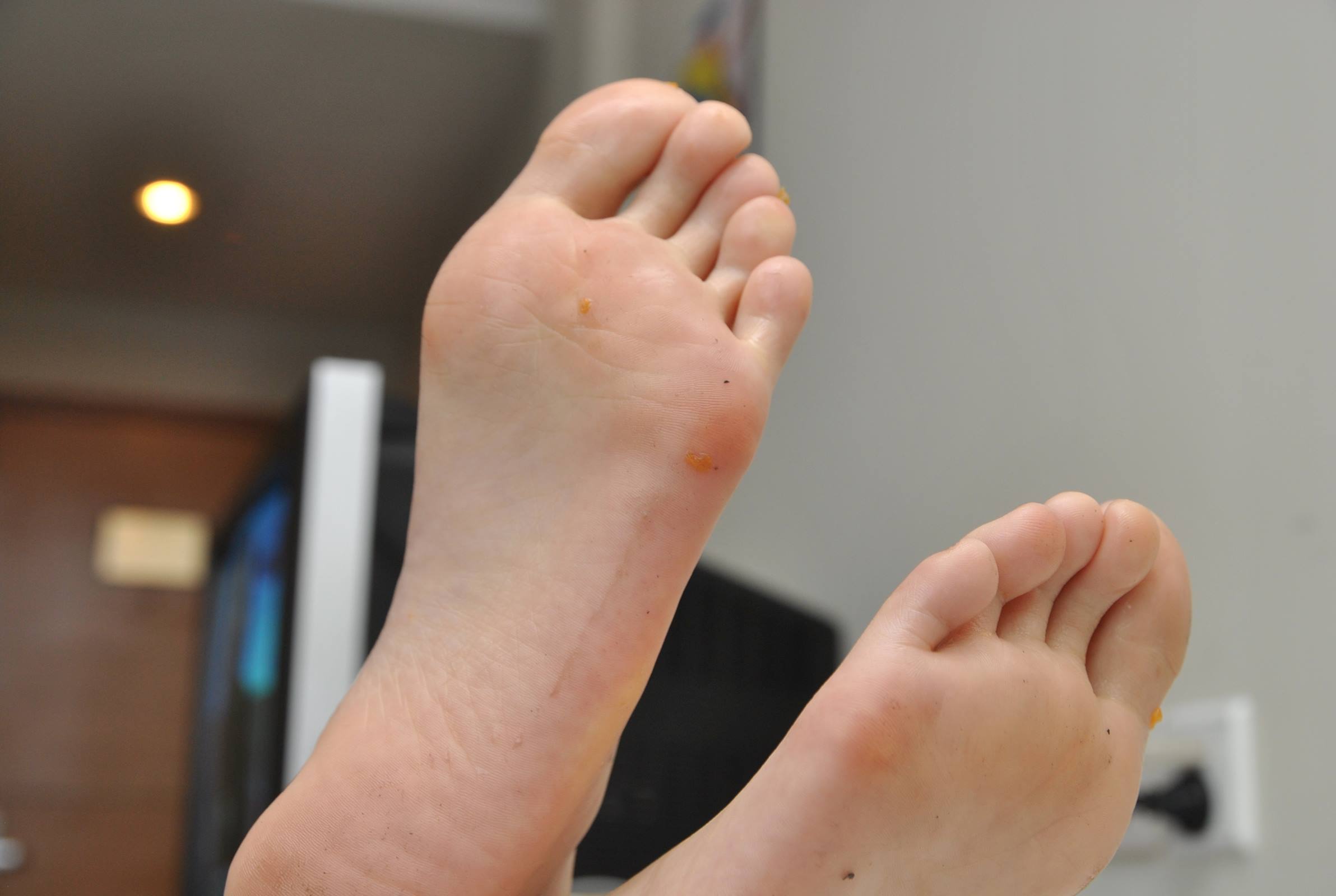 图片[87]-自由摄影 No.061 水果的魅力 [92P] – 速更版-美库