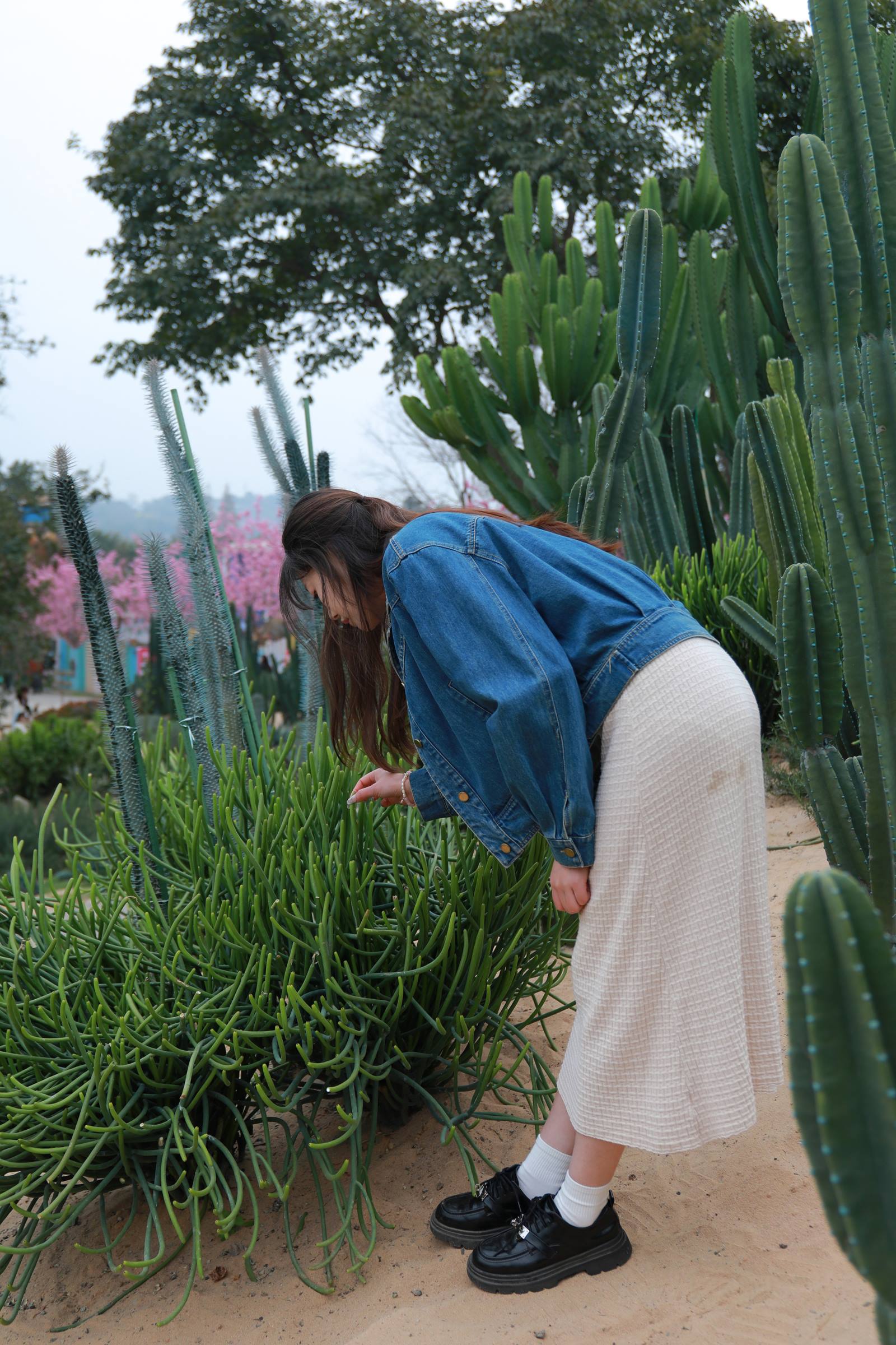 图片[100]-[MZSOCK]爱美足 NO.275 小天[102P] – 速更版-美库