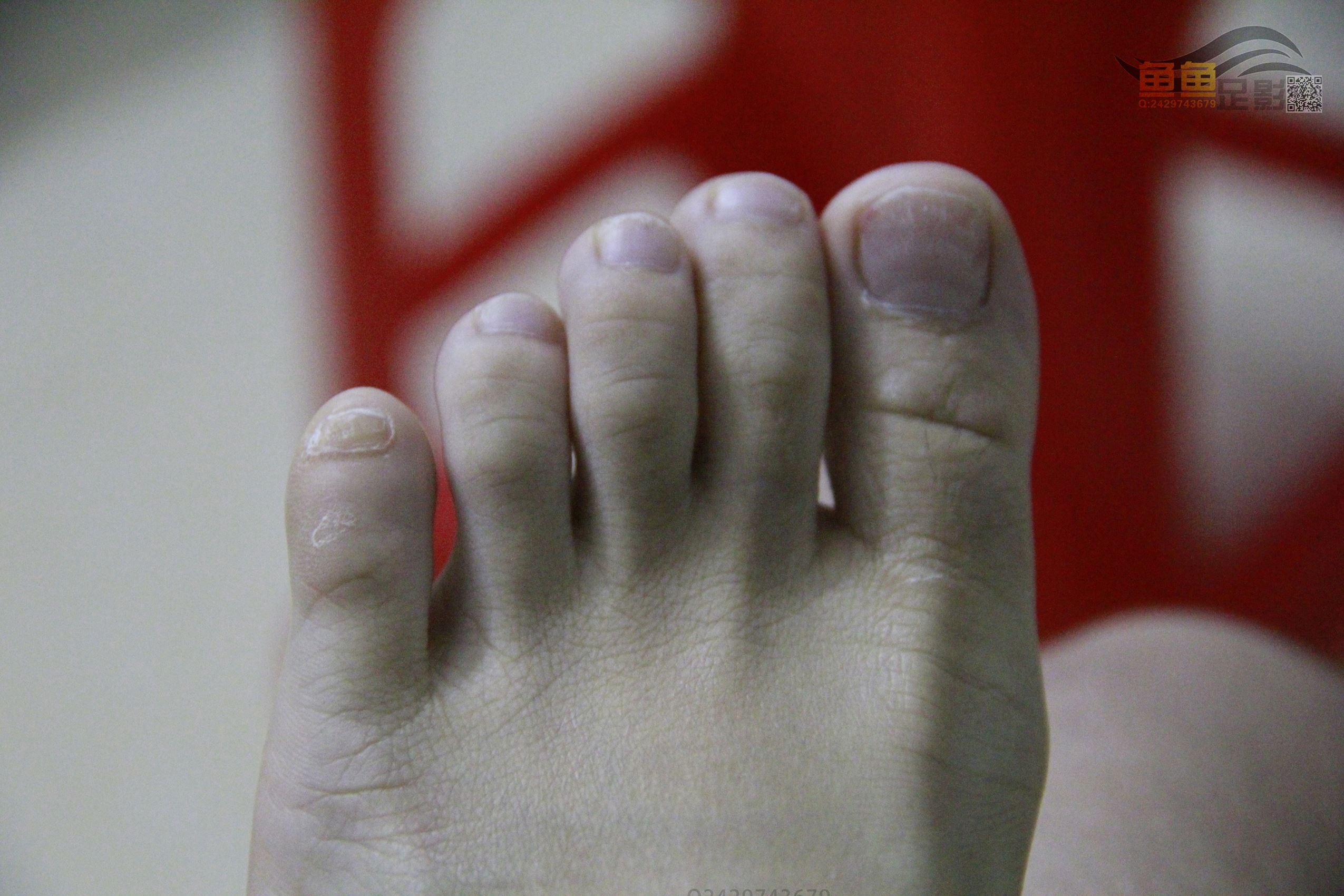 图片[31]-鱼鱼足影@061-第61期：小馥与静静[42P] – 速更版-美库