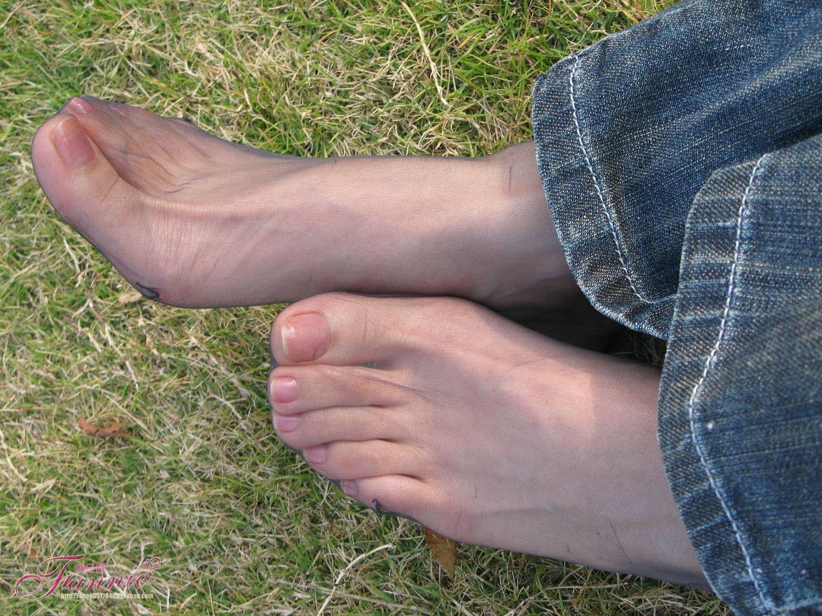 图片[16]-Fannie芬妮每足园 No.364 窃窃私语灰丝 [88P] – 速更版-美库