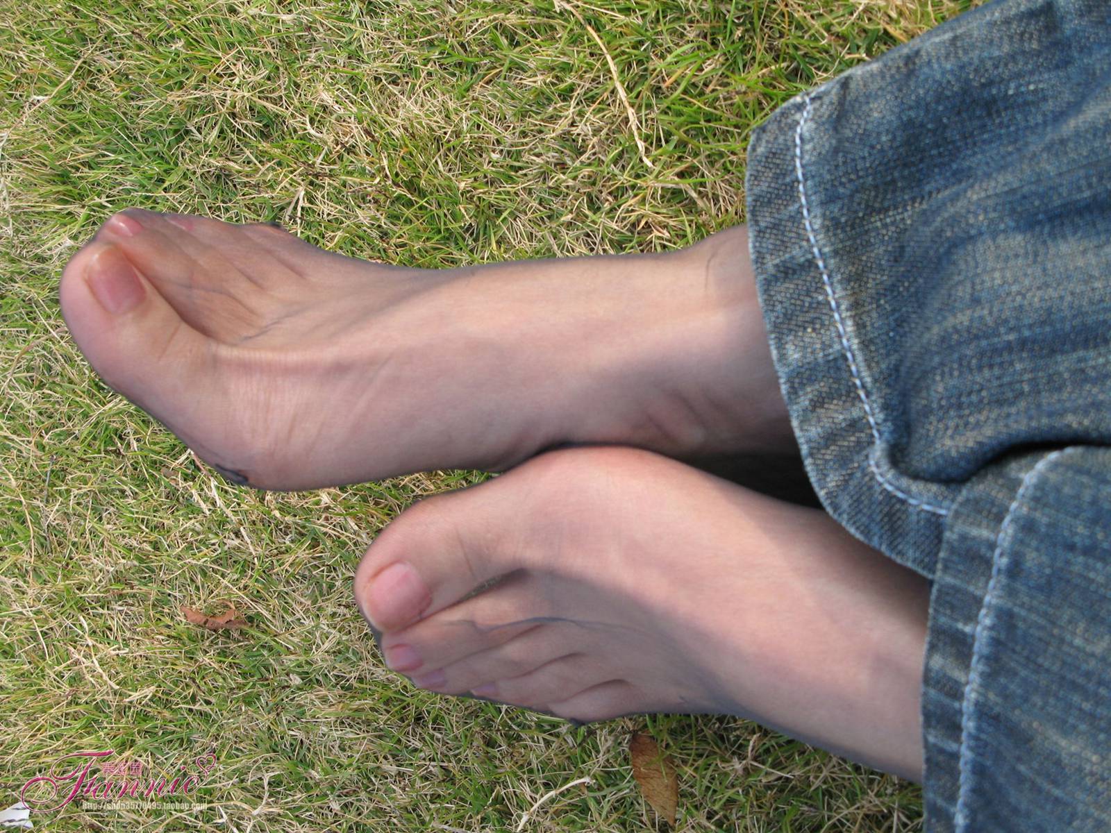 图片[19]-Fannie芬妮每足园 No.364 窃窃私语灰丝 [88P] – 速更版-美库