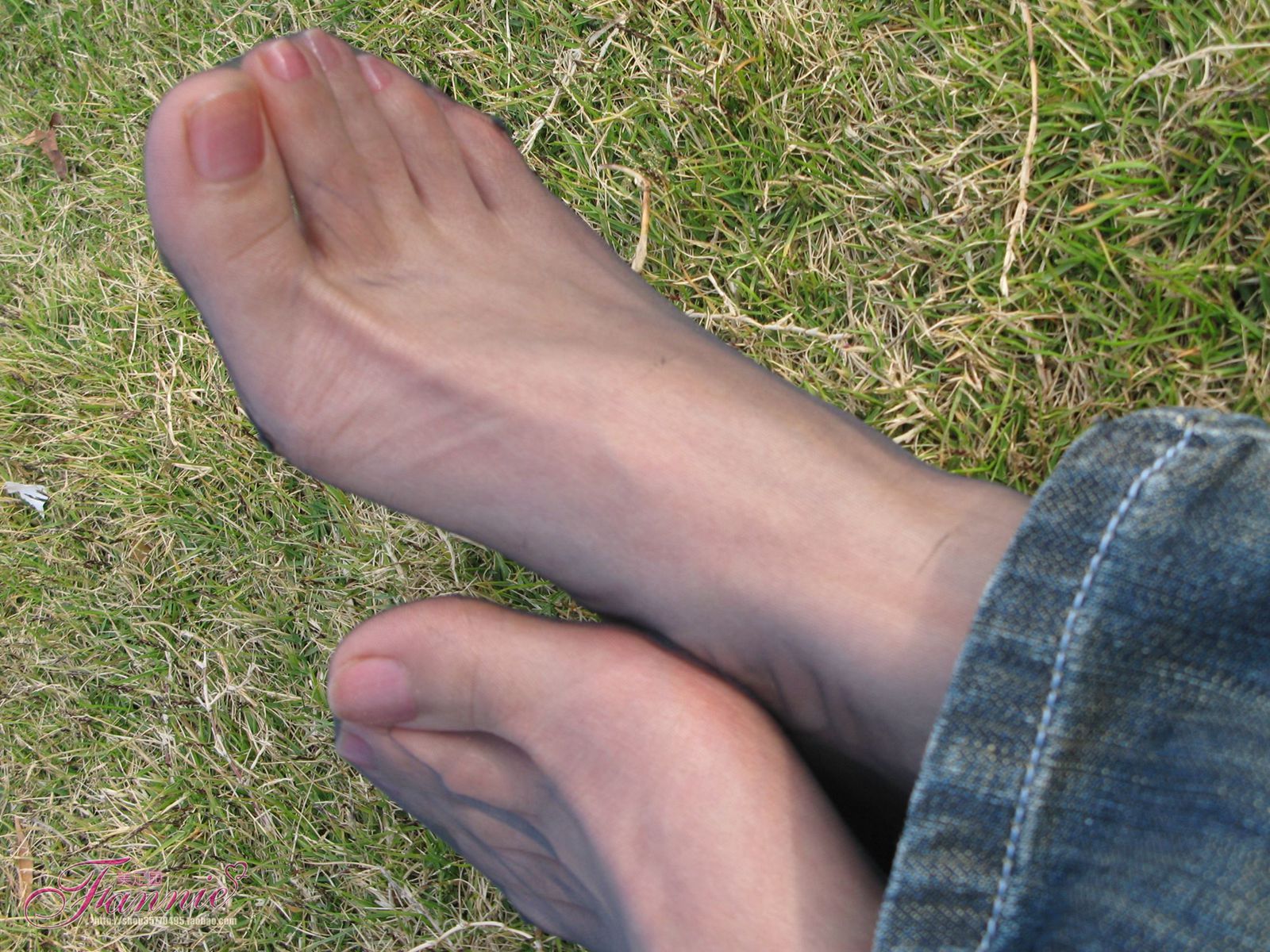 图片[20]-Fannie芬妮每足园 No.364 窃窃私语灰丝 [88P] – 速更版-美库